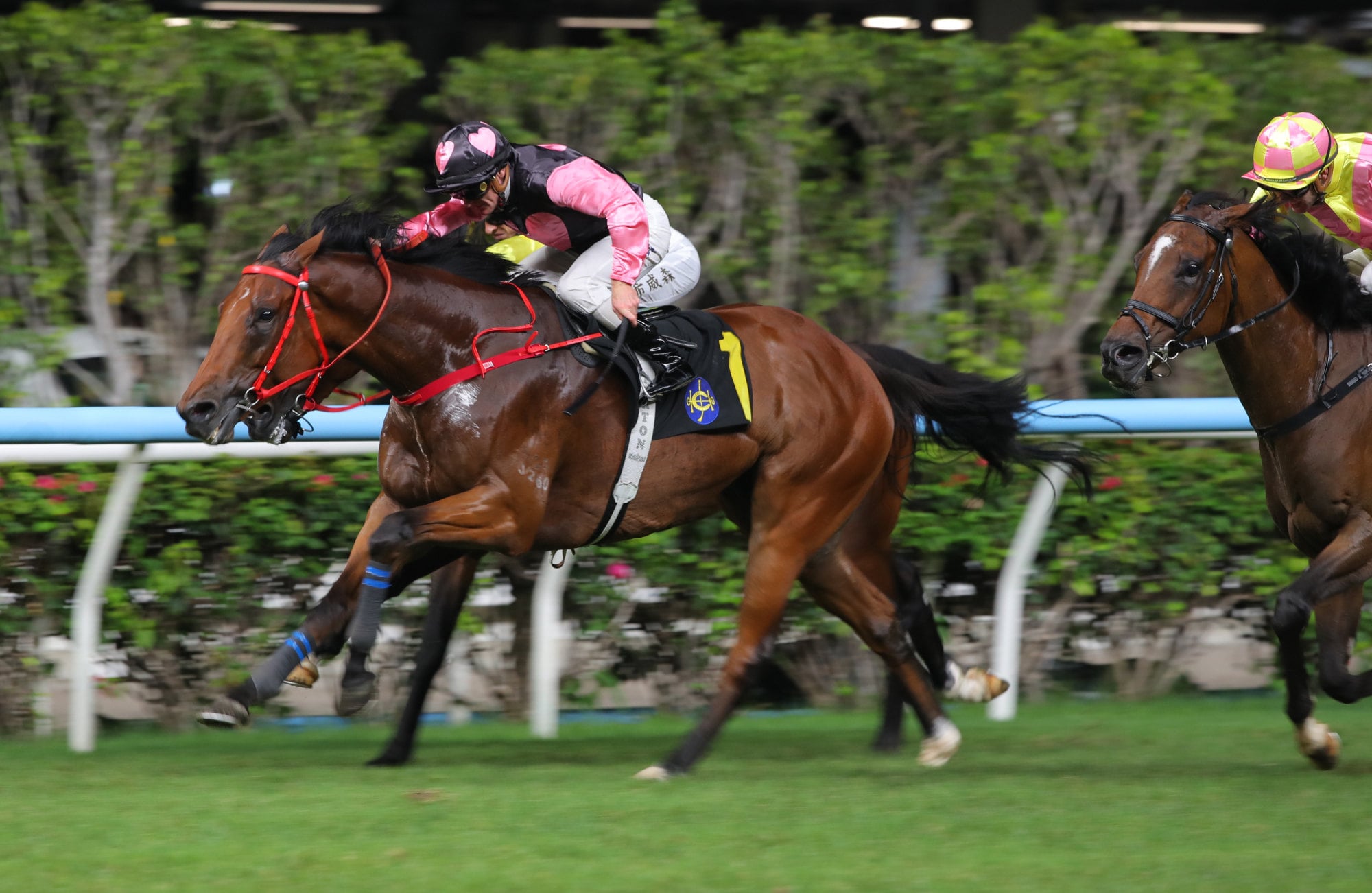 Urembo Alliance, run by Zac Purton, closes Happy Valley.