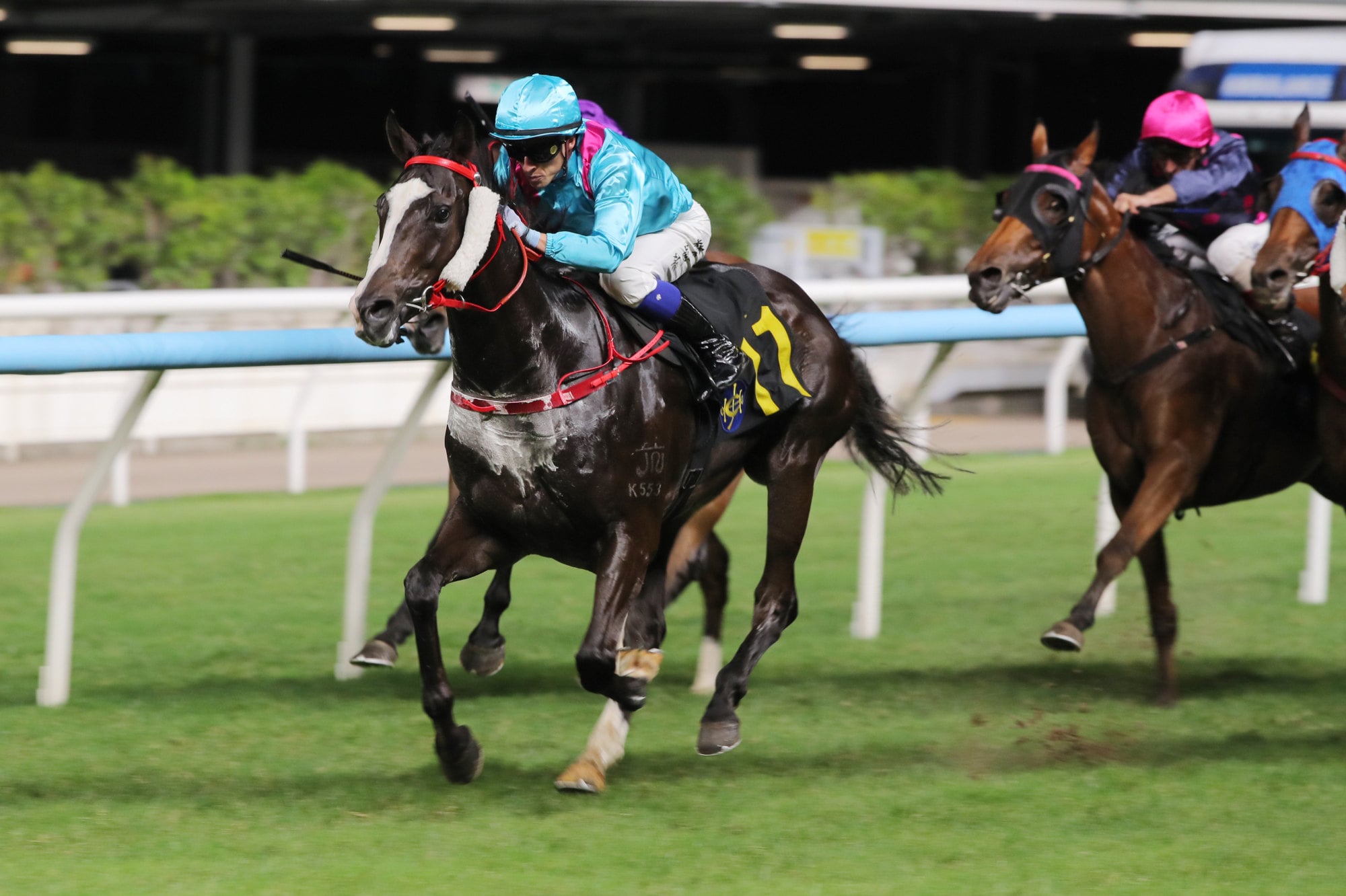 Leading Agility, ridden by Lyle Hewitson, scores at Happy Valley.