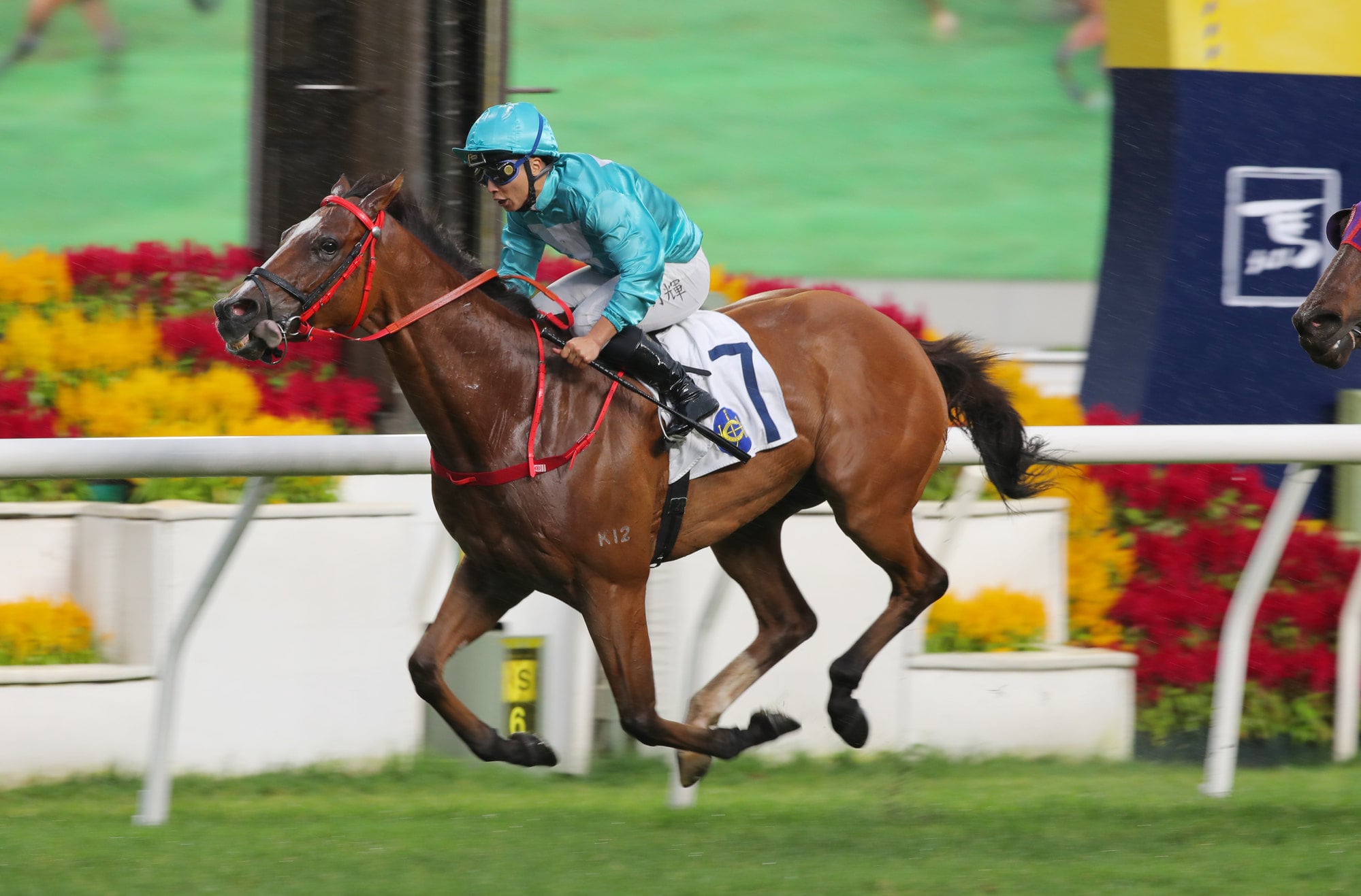 Romantic Thor, ridden by Matthew Poon, wins the Group Three Queen Mother Memorial Cup at Sha Tin. Photo: Kenneth Chan