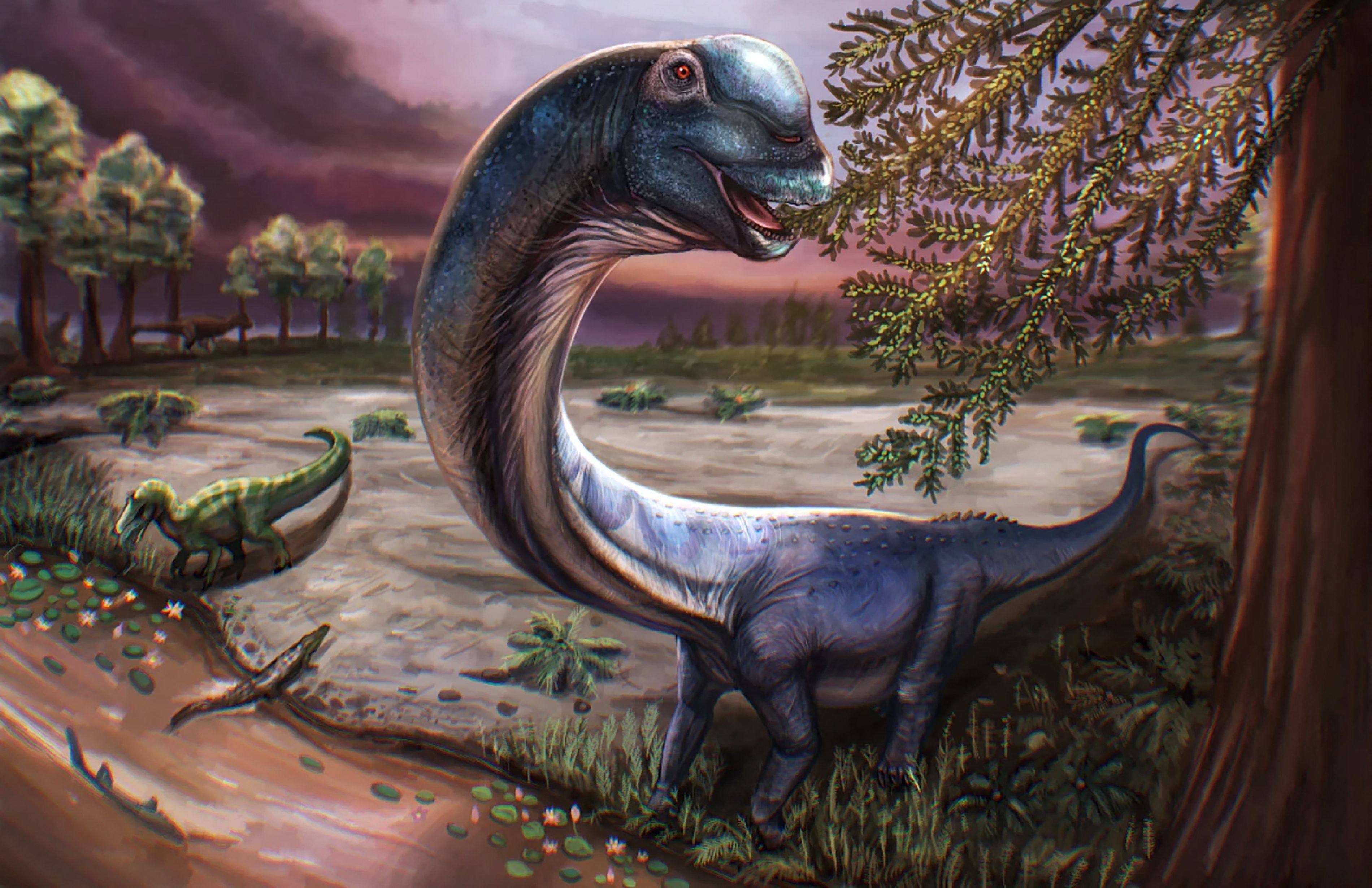 An artist’s impression of the Cretaceous period sauropod dinosaur Nagatitan chaiyaphumensis. Photo: Patchanop Boonsai/AFP