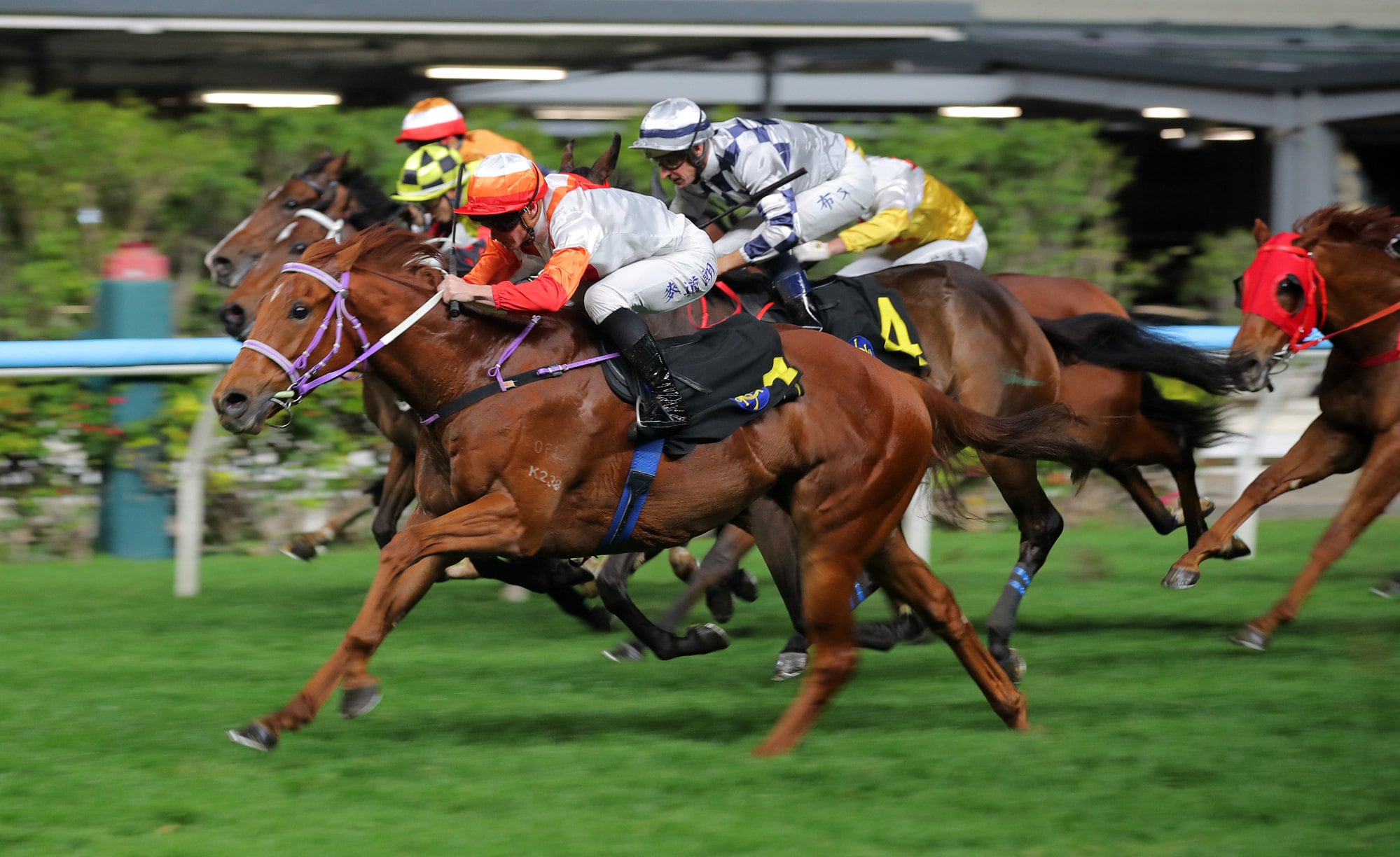 Perfectday, ridden by James McDonald, wins at Happy Valley. Perfectday, ridden by James McDonald, wins at Happy Valley.