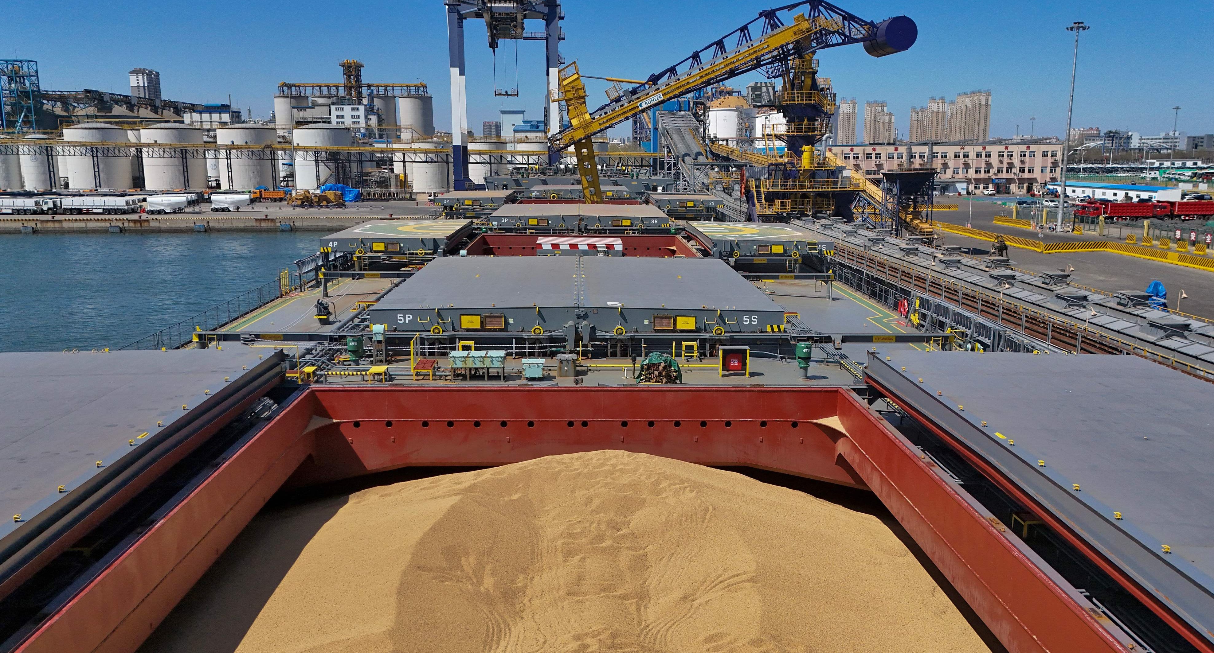 Imported soybeans from Brazil are seen in a cargo vessel at a port in Yantai, in China’s eastern Shandong province. Photo: AFP