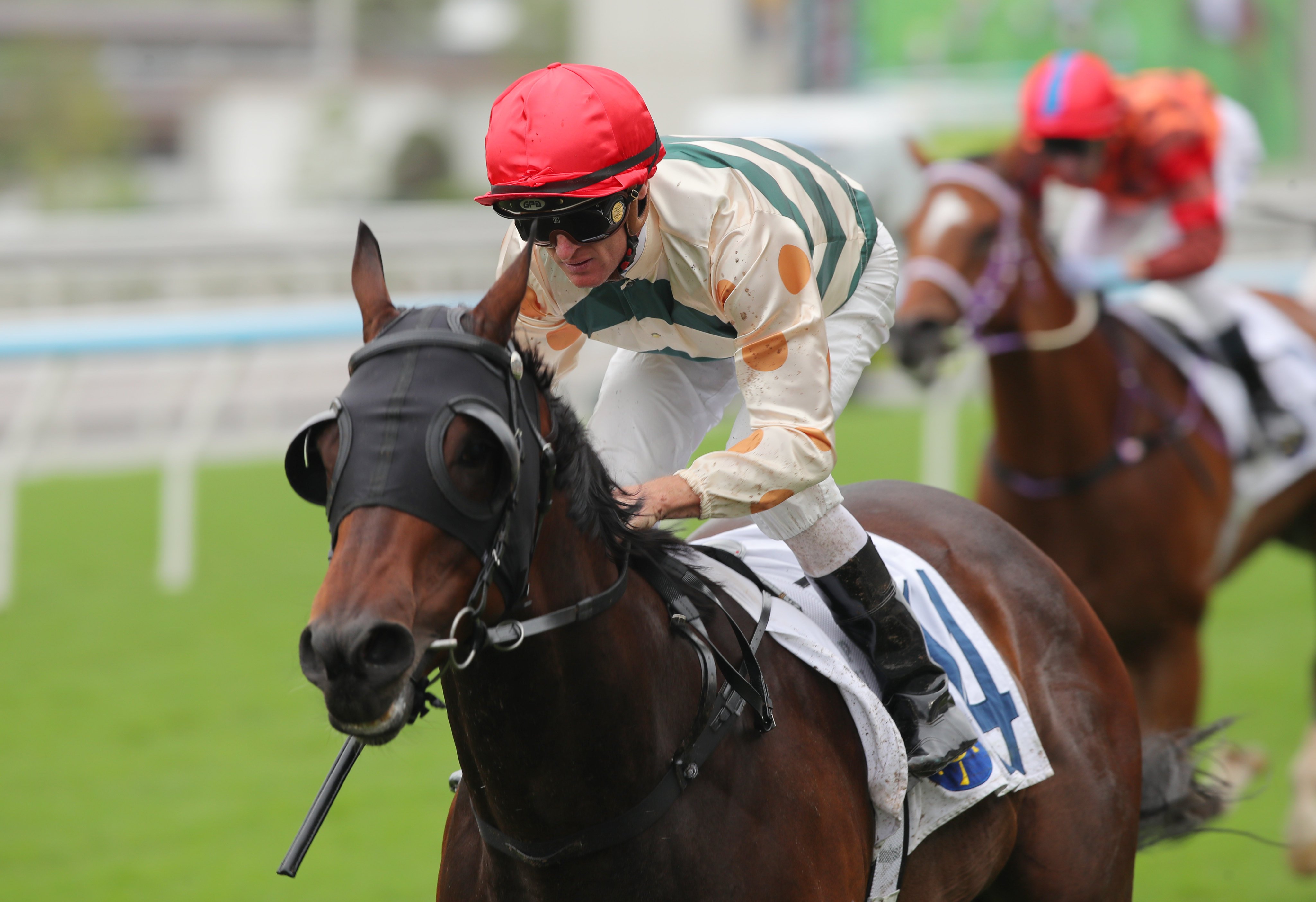 Lahore, ridden by Zac Purton, scores at Sha Tin. Photos: Kenneth Chan