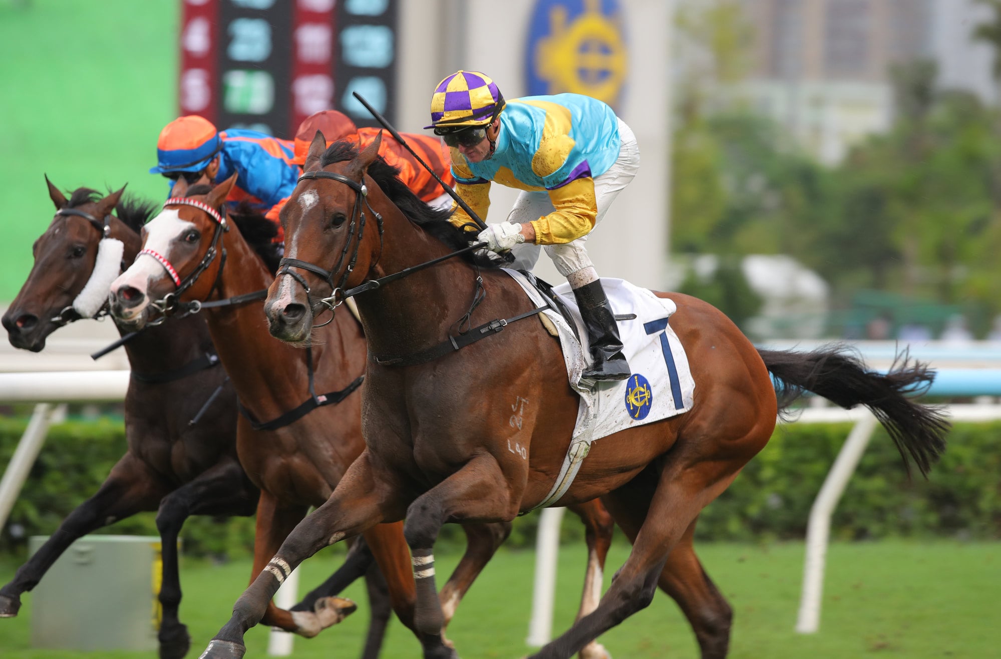 Superb Spirit gets up late to win at Sha Tin.