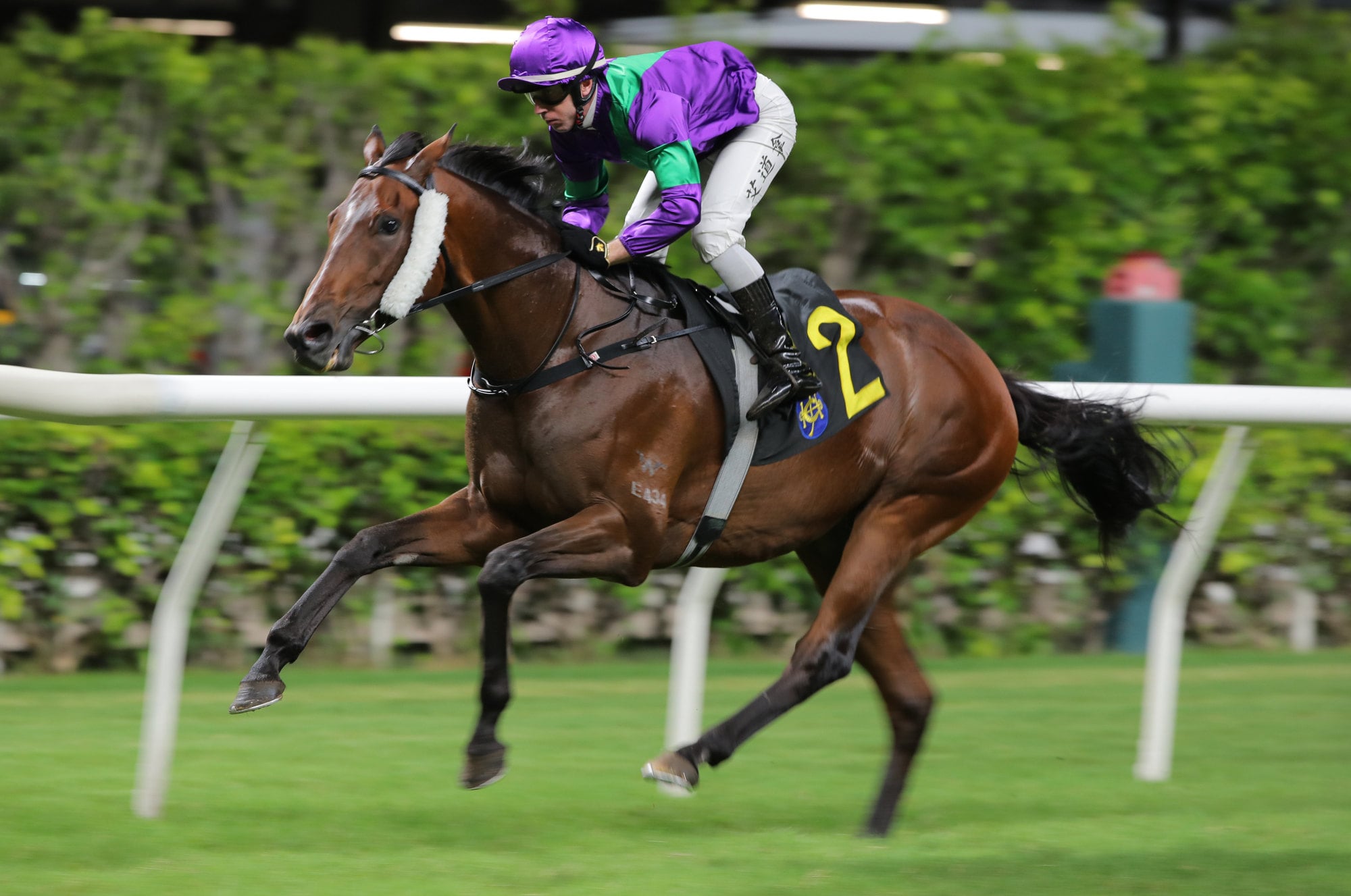 Never Too Soon, ridden by Brenton Avdulla, is victorious at Happy Valley. Never Too Soon, ridden by Brenton Avdulla, is victorious at Happy Valley.