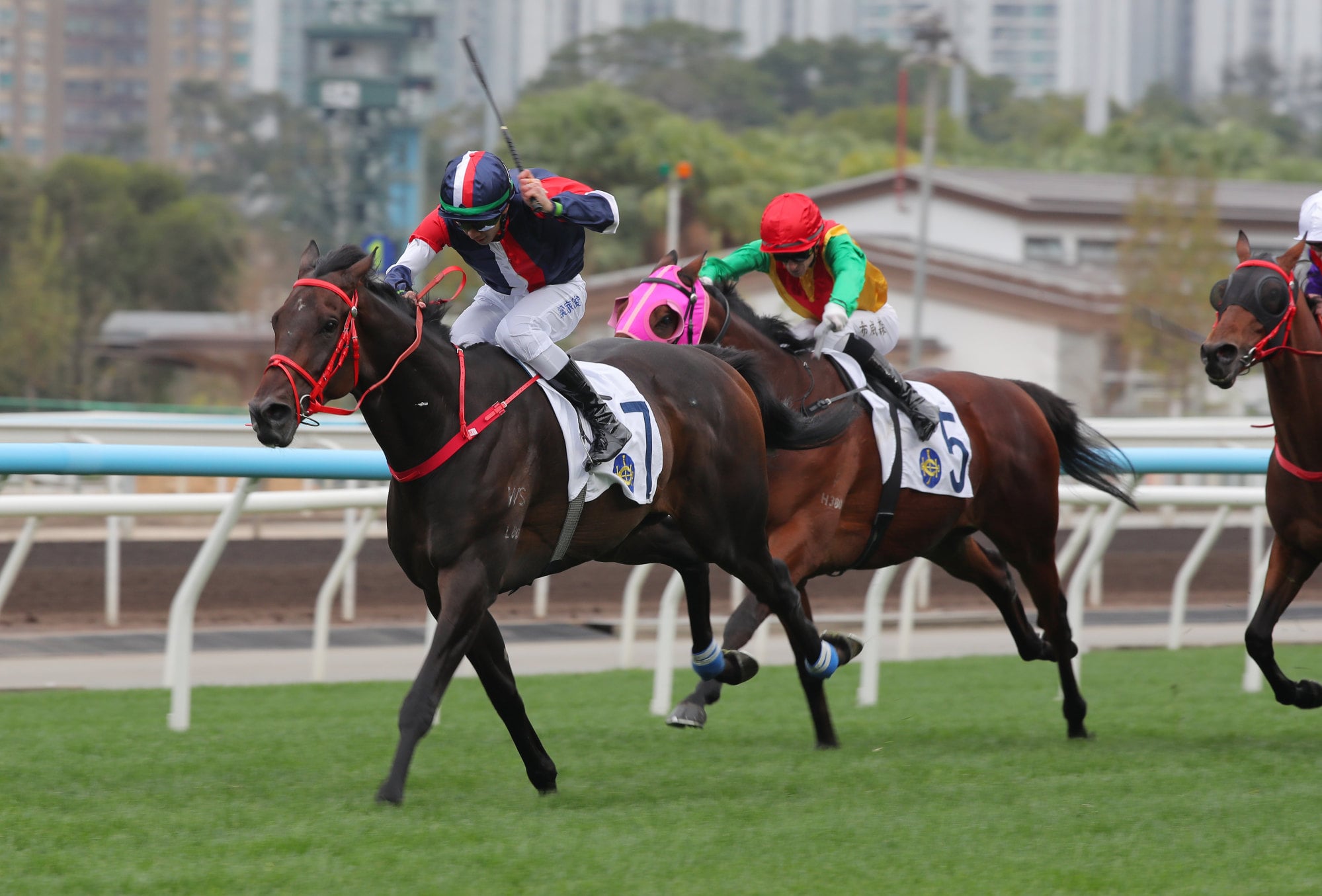 Numbers makes all in the Centenary Vase. Numbers makes all in the Centenary Vase.