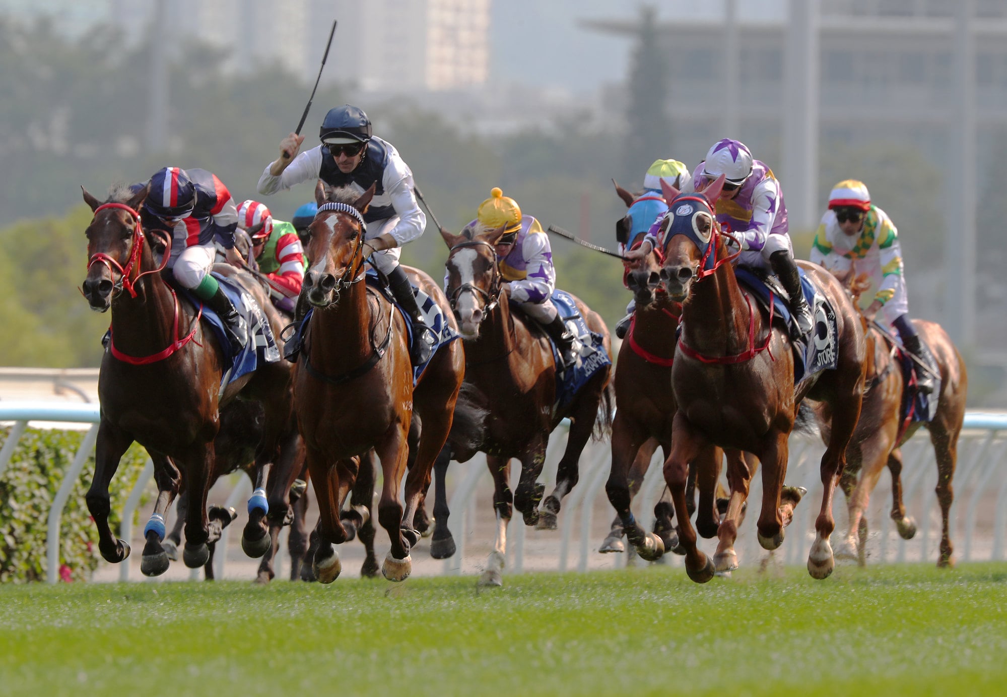 Numbers (left) battles on for second in the Hong Kong Derby. Numbers (left) battles on for second in the Hong Kong Derby.