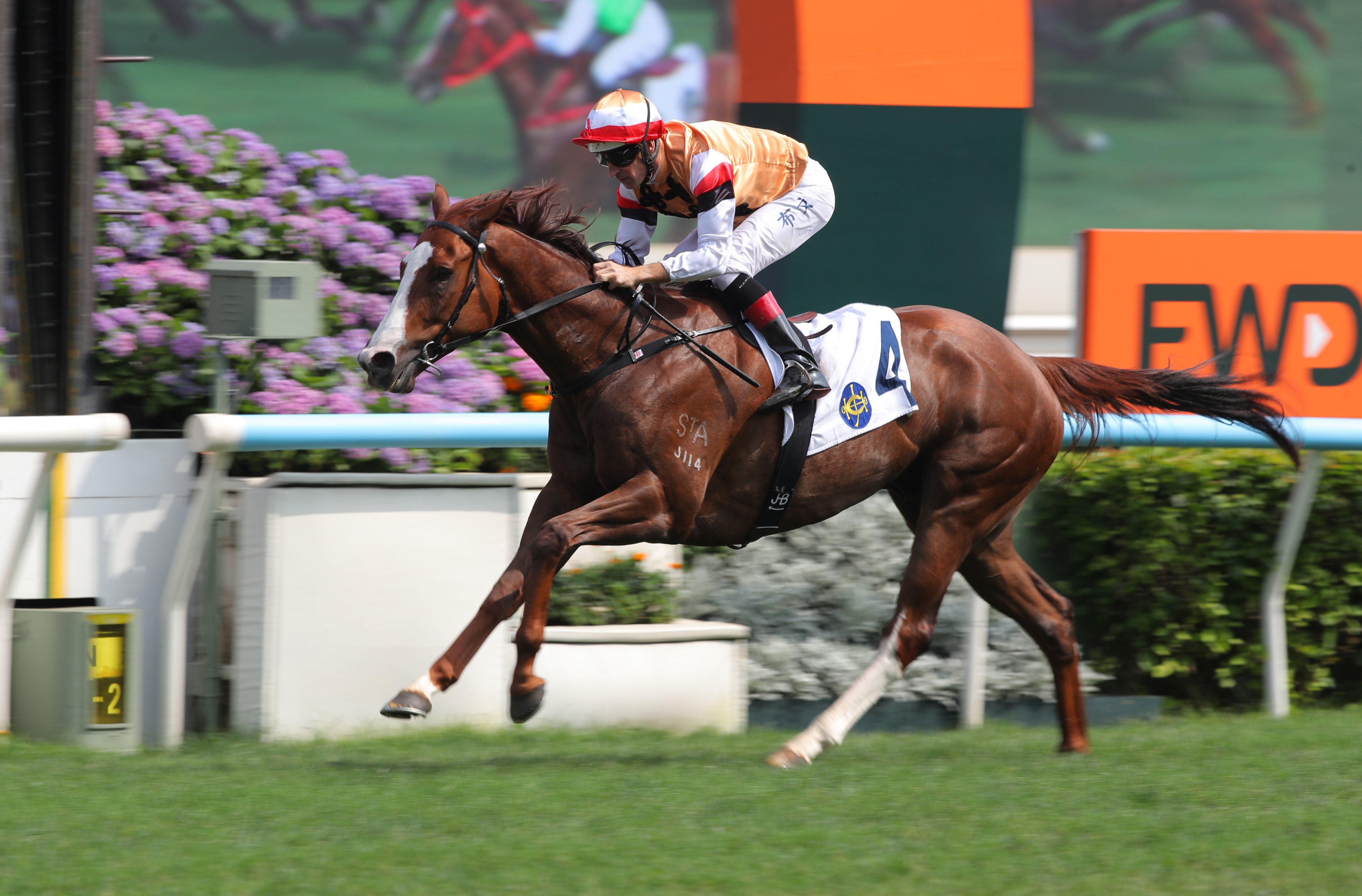 Geneva, ridden by Hugh Bowman, wins at Sha Tin. Photos: Kenneth Chan