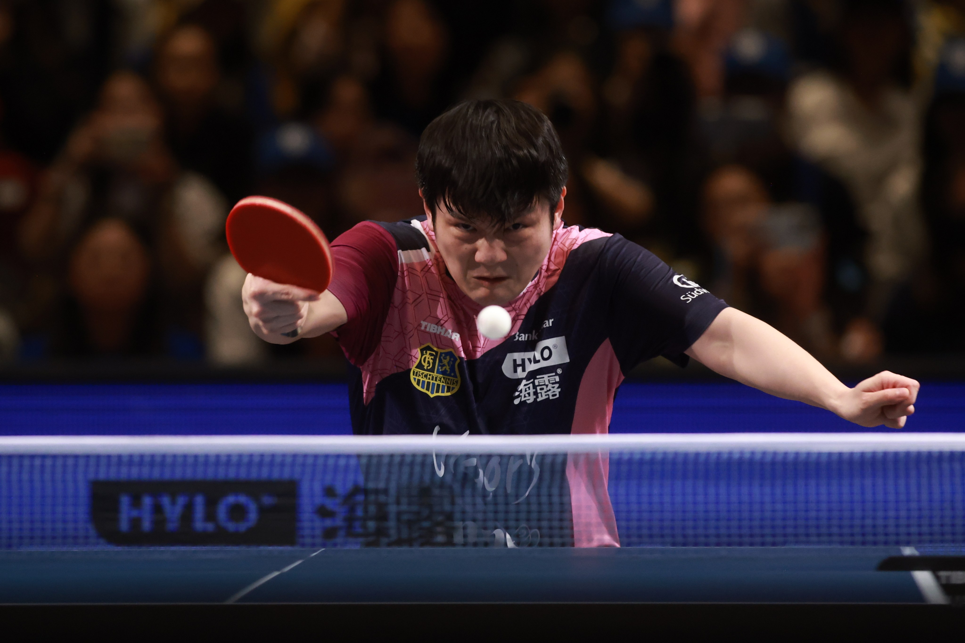 Fan Zhendong and his 1. FC Saarbruecken team won the Champions League men’s title on Sunday. Photo: Getty Images