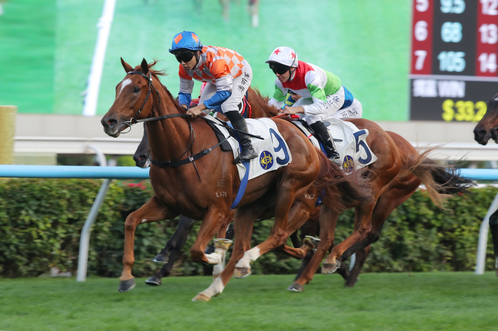 Power Of Vitam, ridden by Matthew Poon Ming-fai, scores at Sha Tin. Power Of Vitam, ridden by Matthew Poon Ming-fai, scores at Sha Tin.