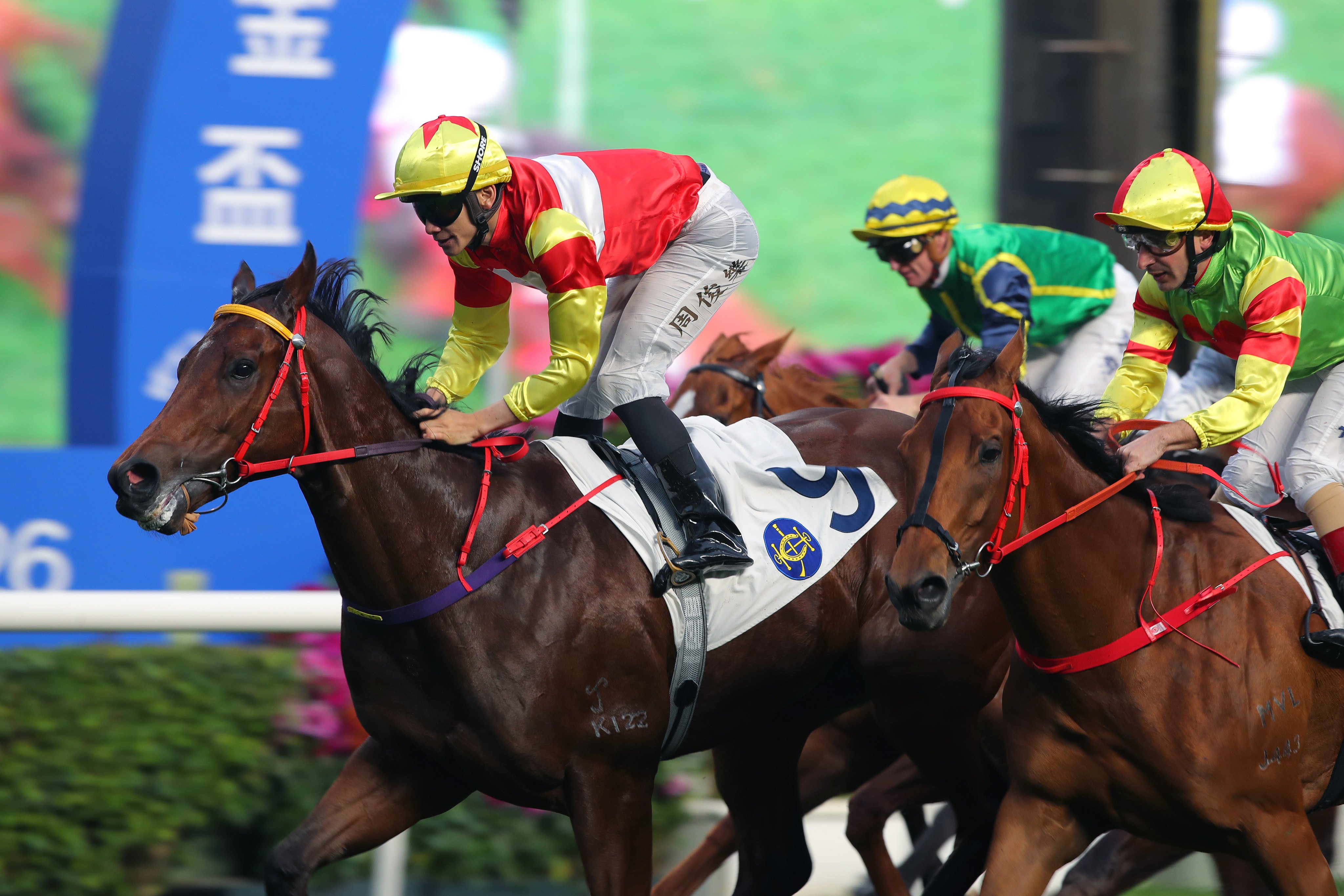 Emblazon, ridden by Jerry Chau, wins at Sha Tin. Photos: Kenneth Chan