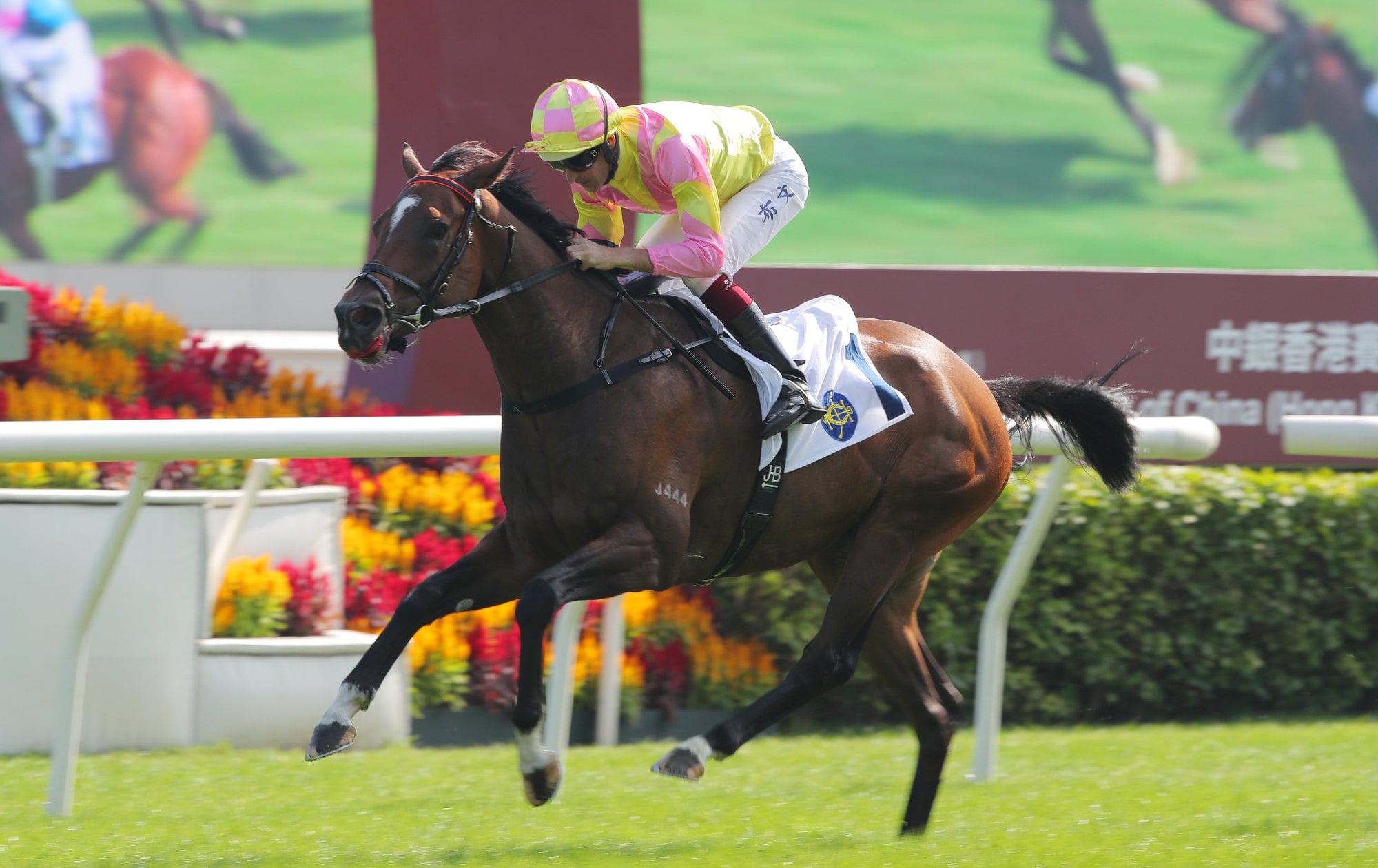 Do Your Part, ridden by Hugh Bowman, wins at Sha Tin. Do Your Part, ridden by Hugh Bowman, wins at Sha Tin.