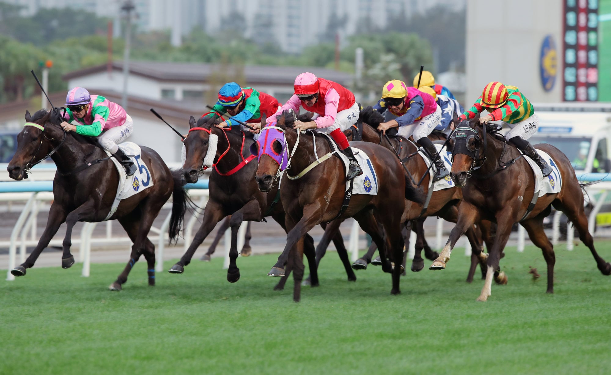 Gentlemen Legacy (1) wins at Sha Tin in March.