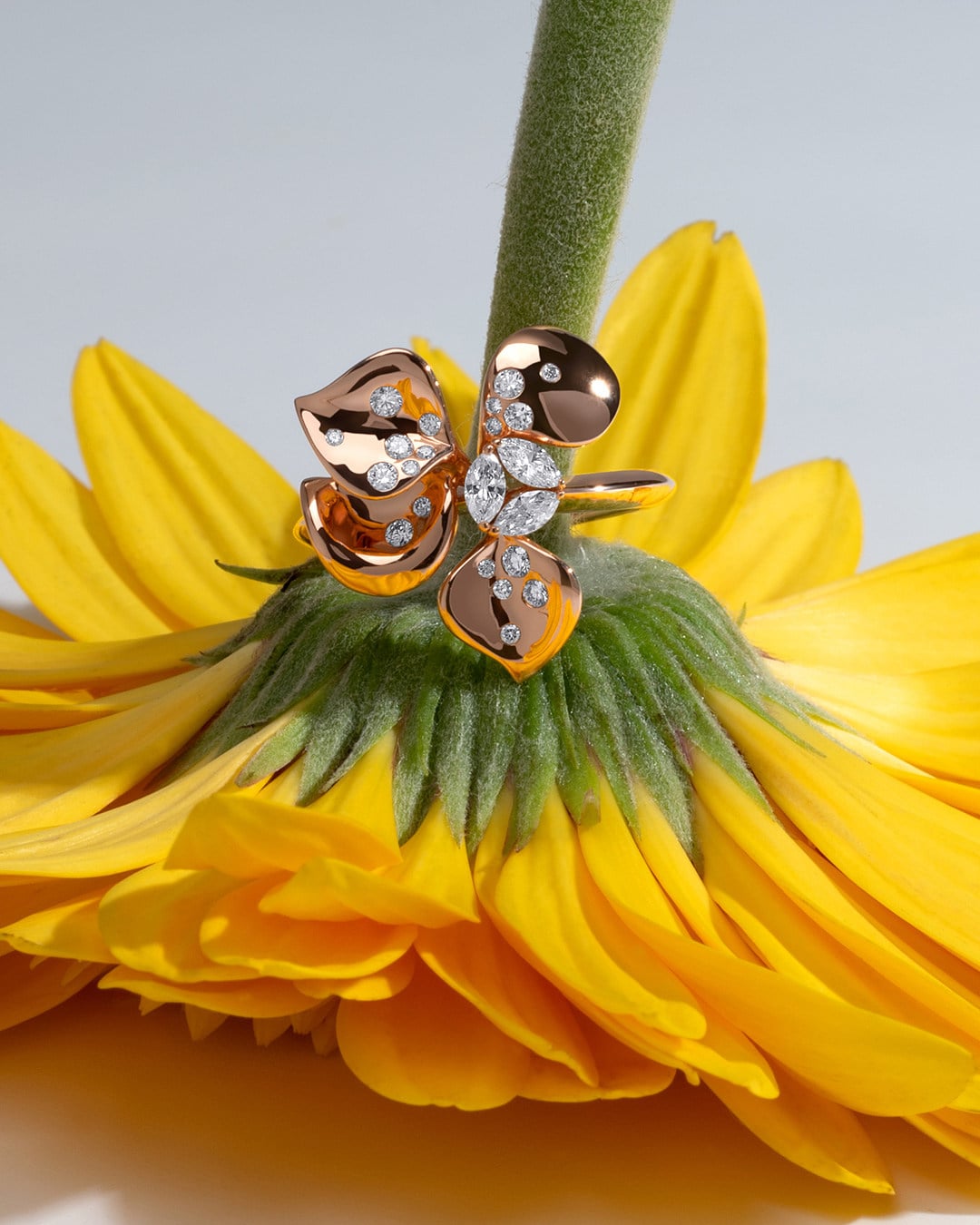 Stenzhorn’s À Fleur De Paris collection. Photo: Handout