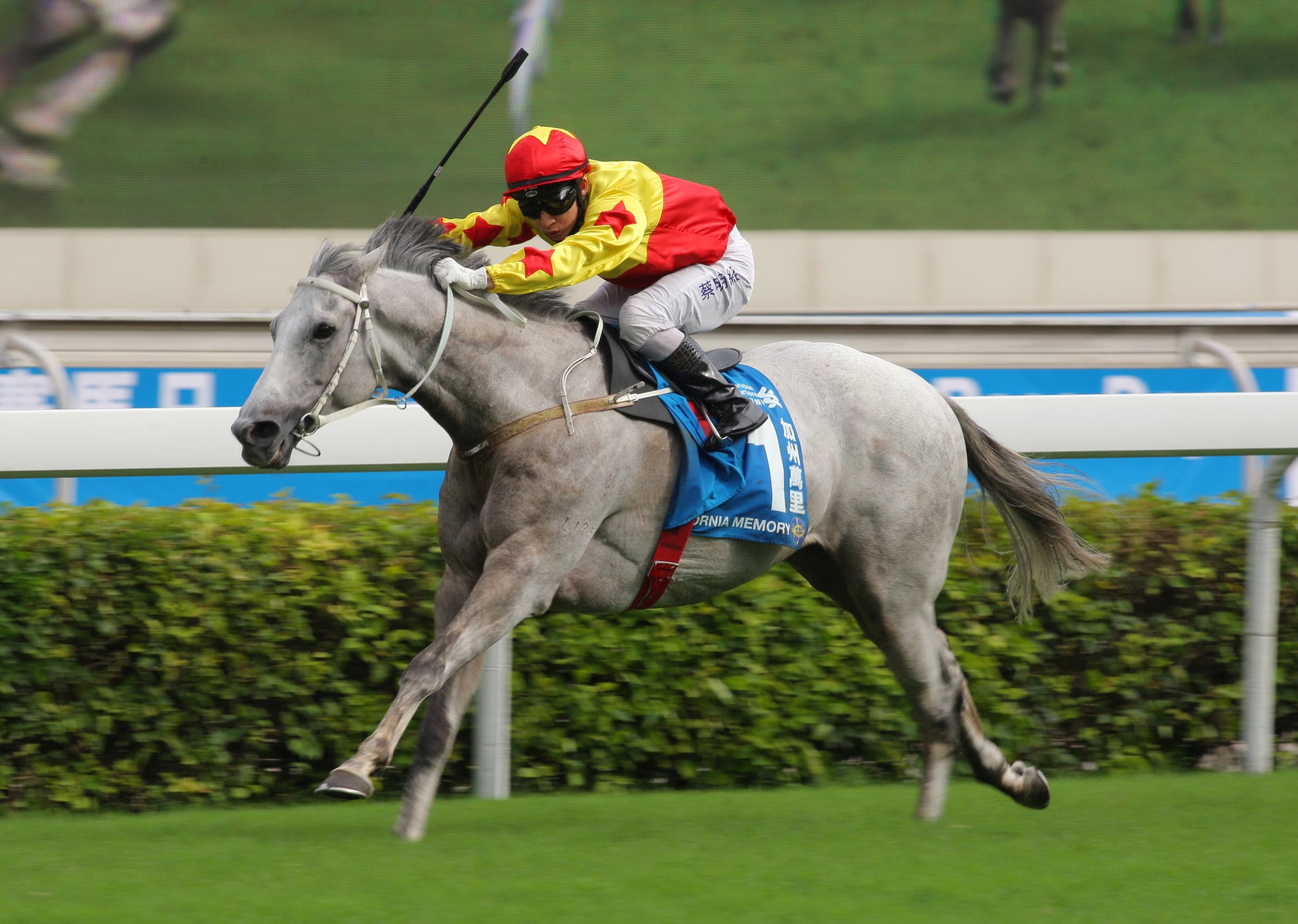 California Memory wins Champions and Chater 2013.