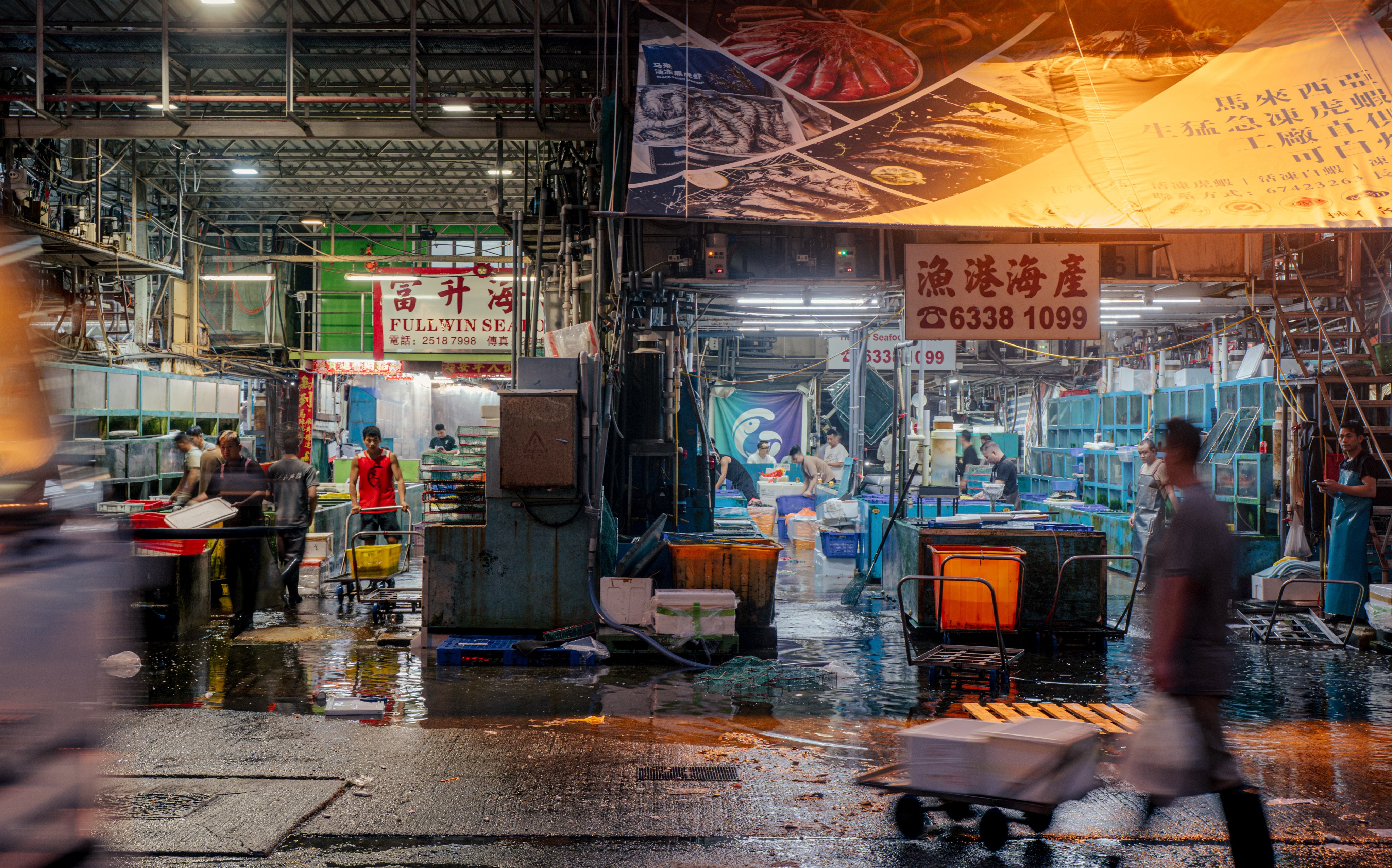 At 5am, it’s still dark at the Aberdeen Wholesale Fish Market, as fishermen and workers go about offloading the morning’s catch. Photo: Alexander Mak