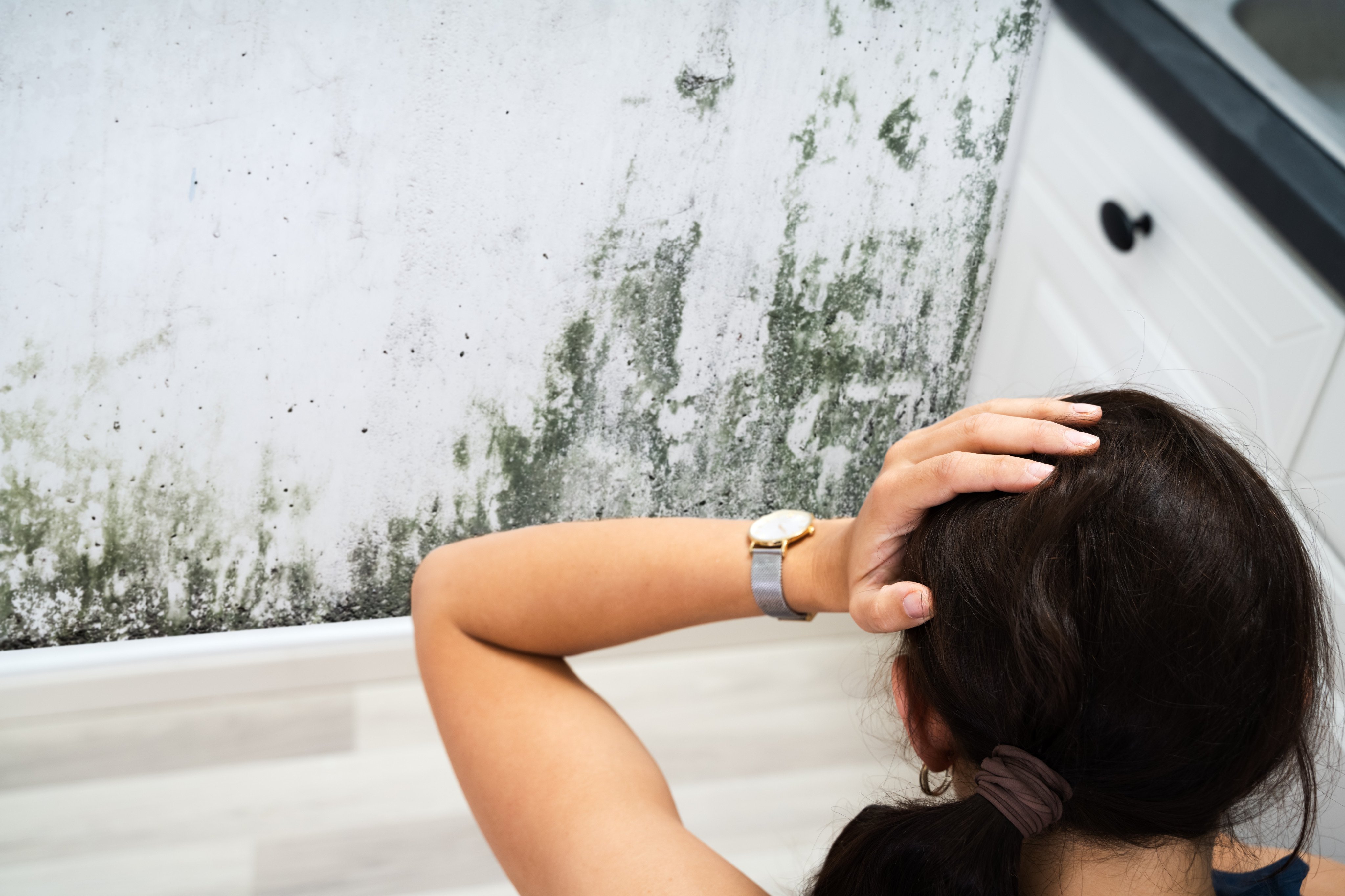 Black mould is a chronic health hazard that thrives in humid climates such as Hong Kong’s. Experts share how to rid your home of harmful particles that can cause coughs, allergic reactions and even cancer. Photo: Shutterstock