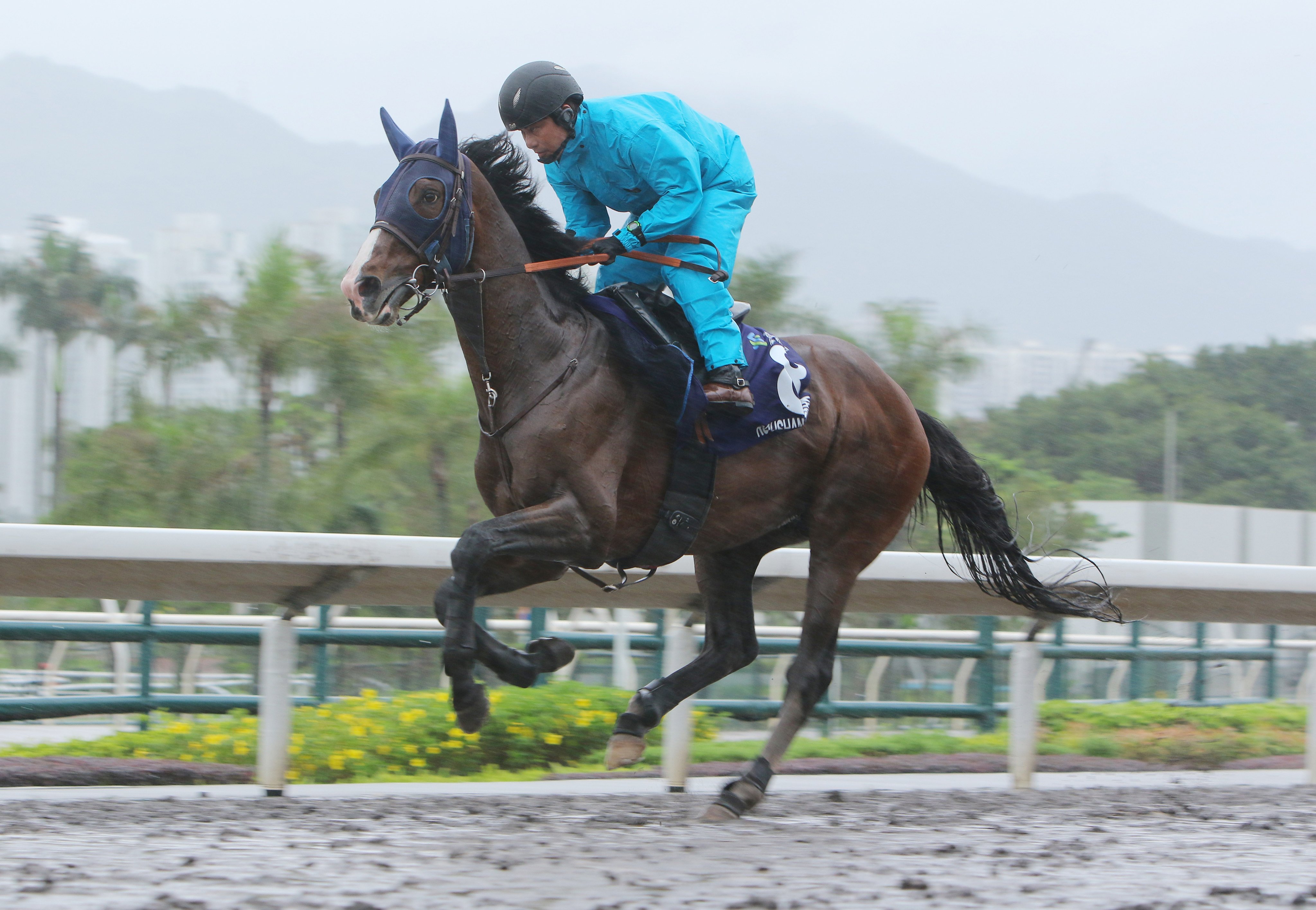 Rousham Park gallops on the Sha Tin dirt earlier this week. Photos: Kenneth Chan
