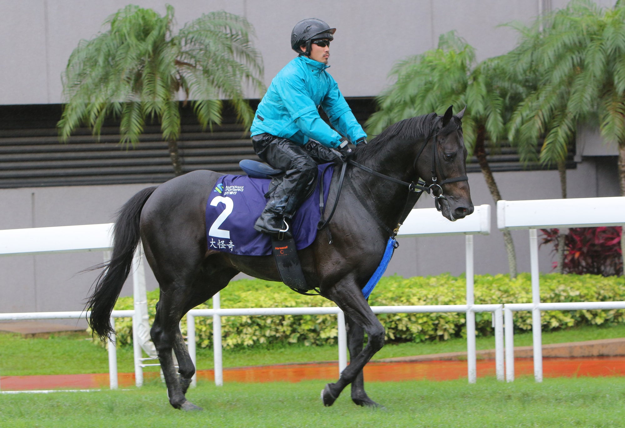Japan’s Deep Monster gallops on the Sha Tin turf. Japan’s Deep Monster gallops on the Sha Tin turf.