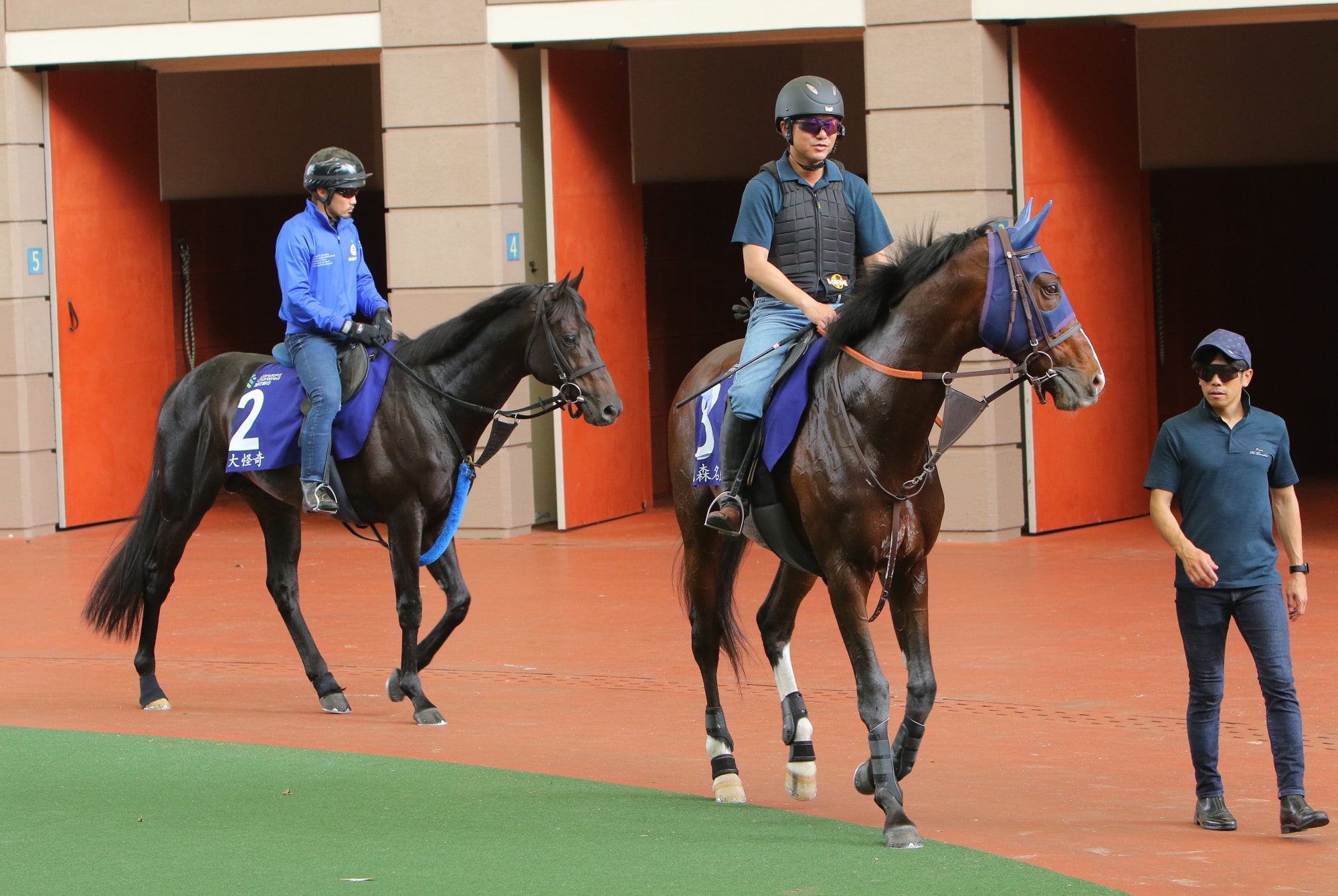 Rousham Park (right) and Deep Monster (left) at Sha Tin’s parade ring on Friday. Rousham Park (right) and Deep Monster (left) at Sha Tin’s parade ring on Friday.