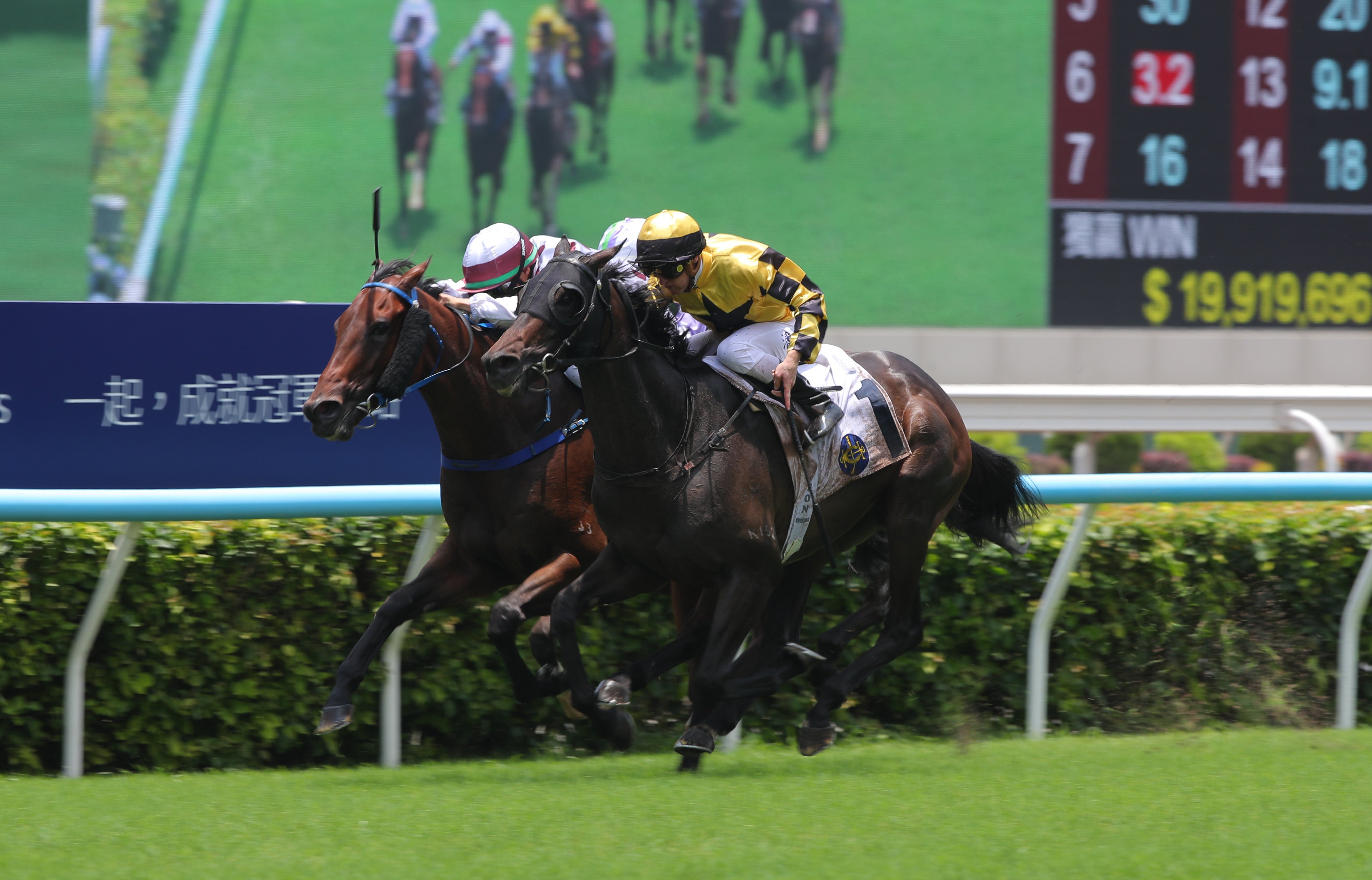 Zac Purton and Flying Amani (right) edge ahead of Perfecto Moments to win the first race of the day at Sha Tin. Photo: Kenneth Chan.