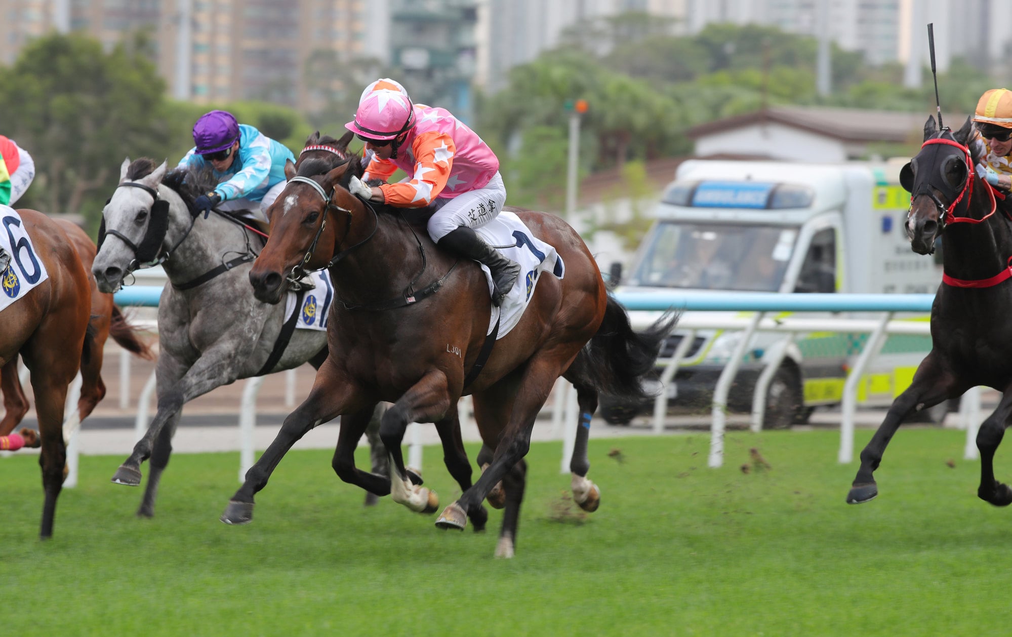 My Mars scored on his Hong Kong debut under Brenton Avdulla. My Mars scored on his Hong Kong debut under Brenton Avdulla.