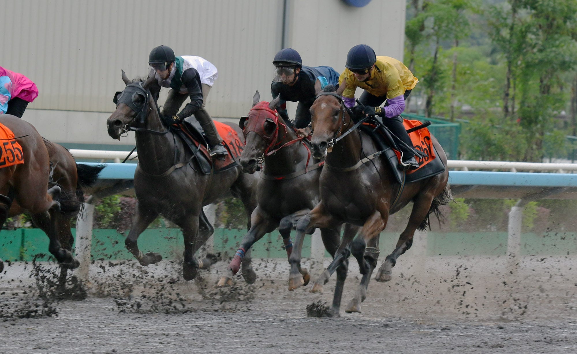 Happy Promise runs out for the second time in a recent trial. Happy Promise runs out for the second time in a recent trial.