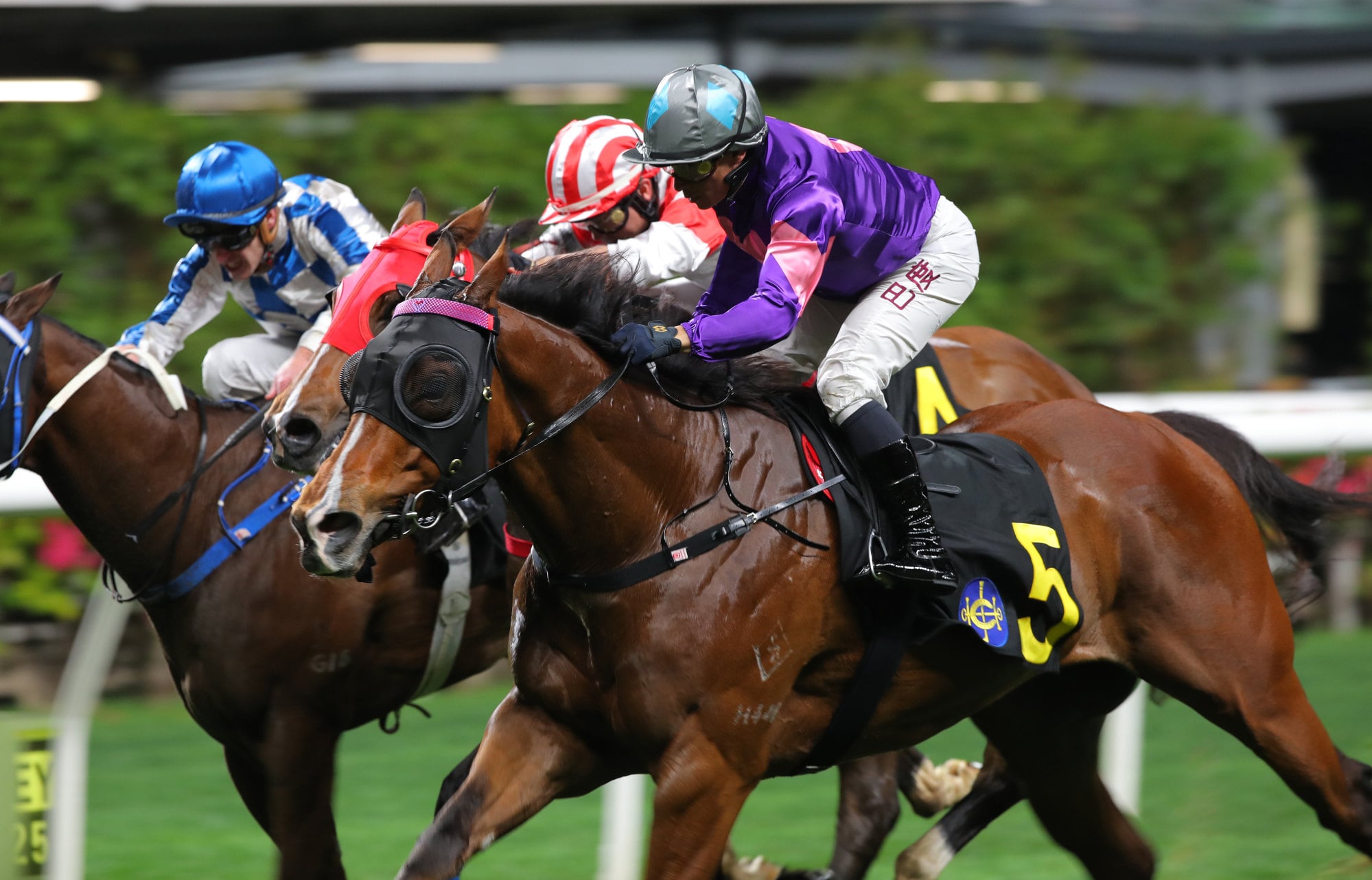 Spicy Gold, ridden by Alexis Badel, wins at Happy Valley. Spicy Gold, ridden by Alexis Badel, wins at Happy Valley.