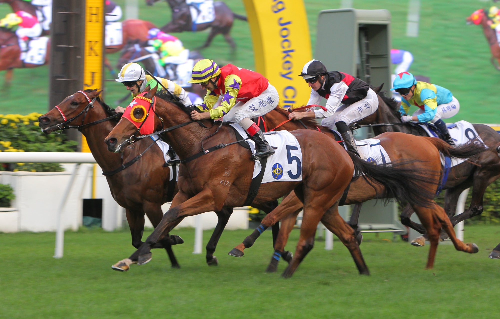 Crimson Flash (outside) guns down Rising Force to score at Sha Tin last month. Crimson Flash (outside) guns down Rising Force to score at Sha Tin last month.