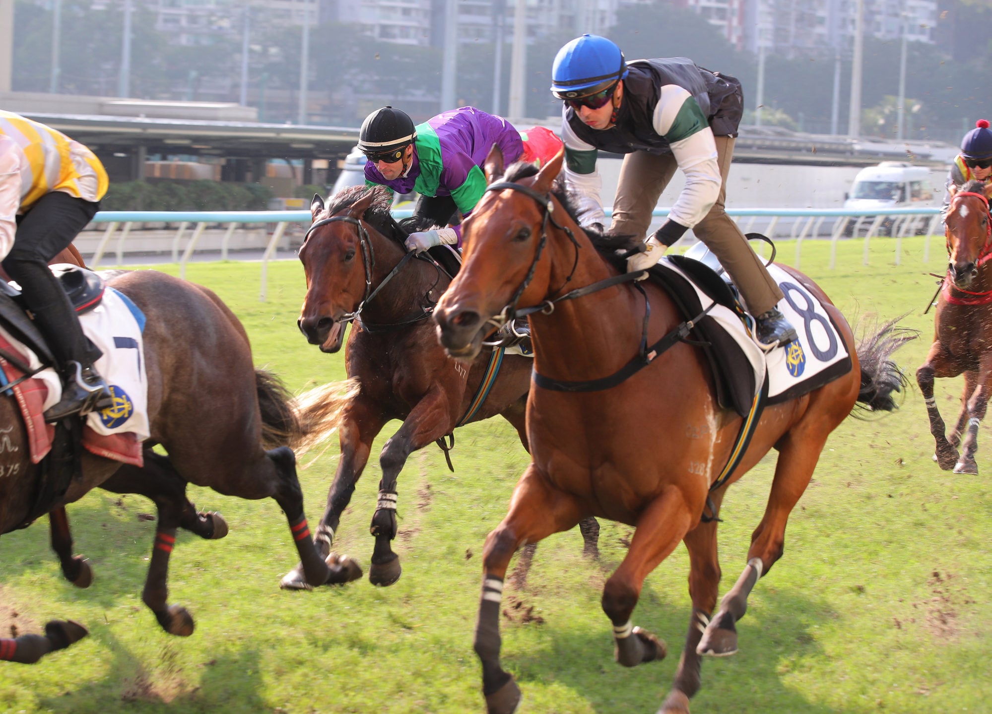 La Forza trials at Happy Valley with Brenton Avdulla on board. La Forza trials at Happy Valley with Brenton Avdulla on board.