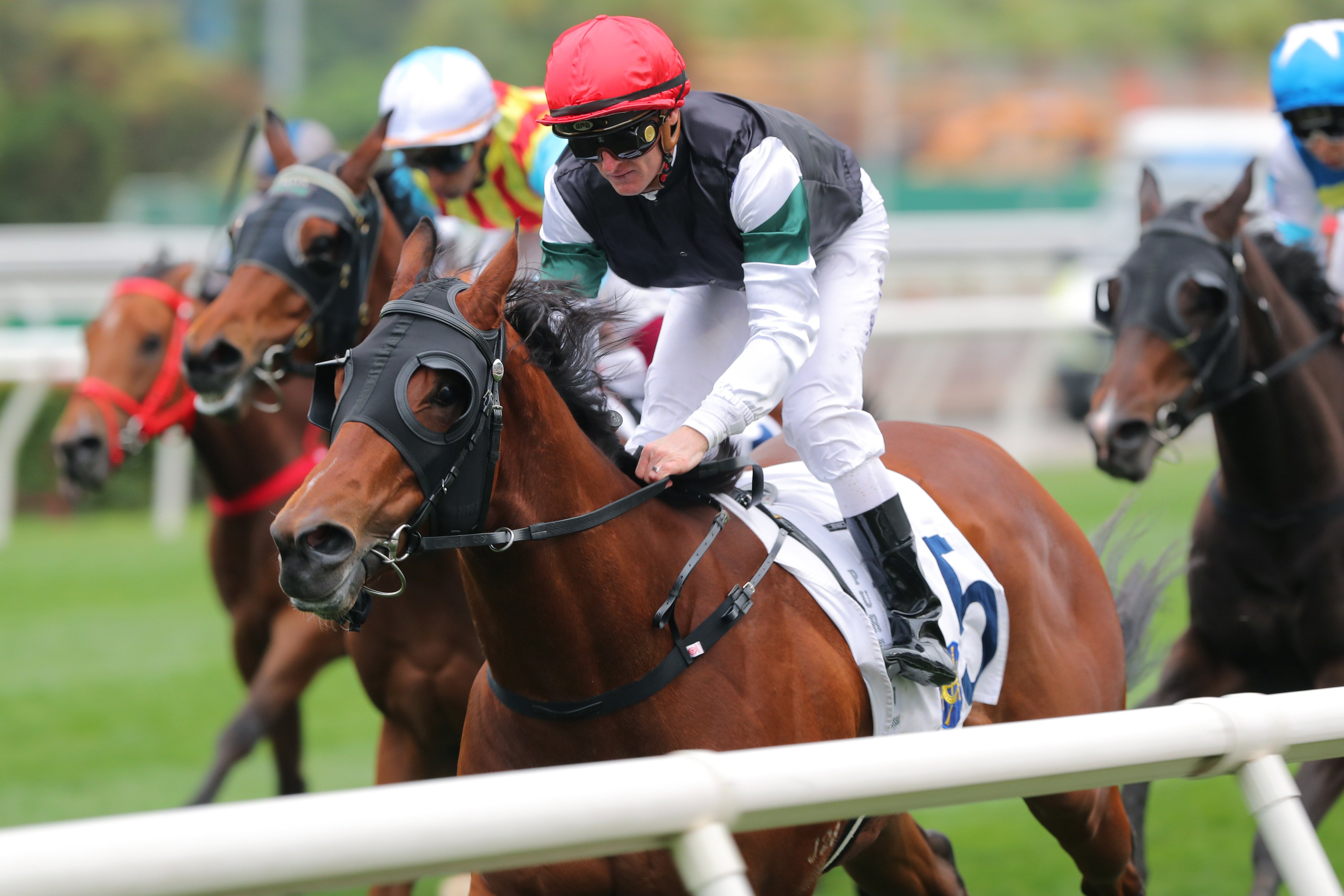 La Forza, ridden by Zac Purton, wins at Sha Tin. Photos: Kenneth Chan