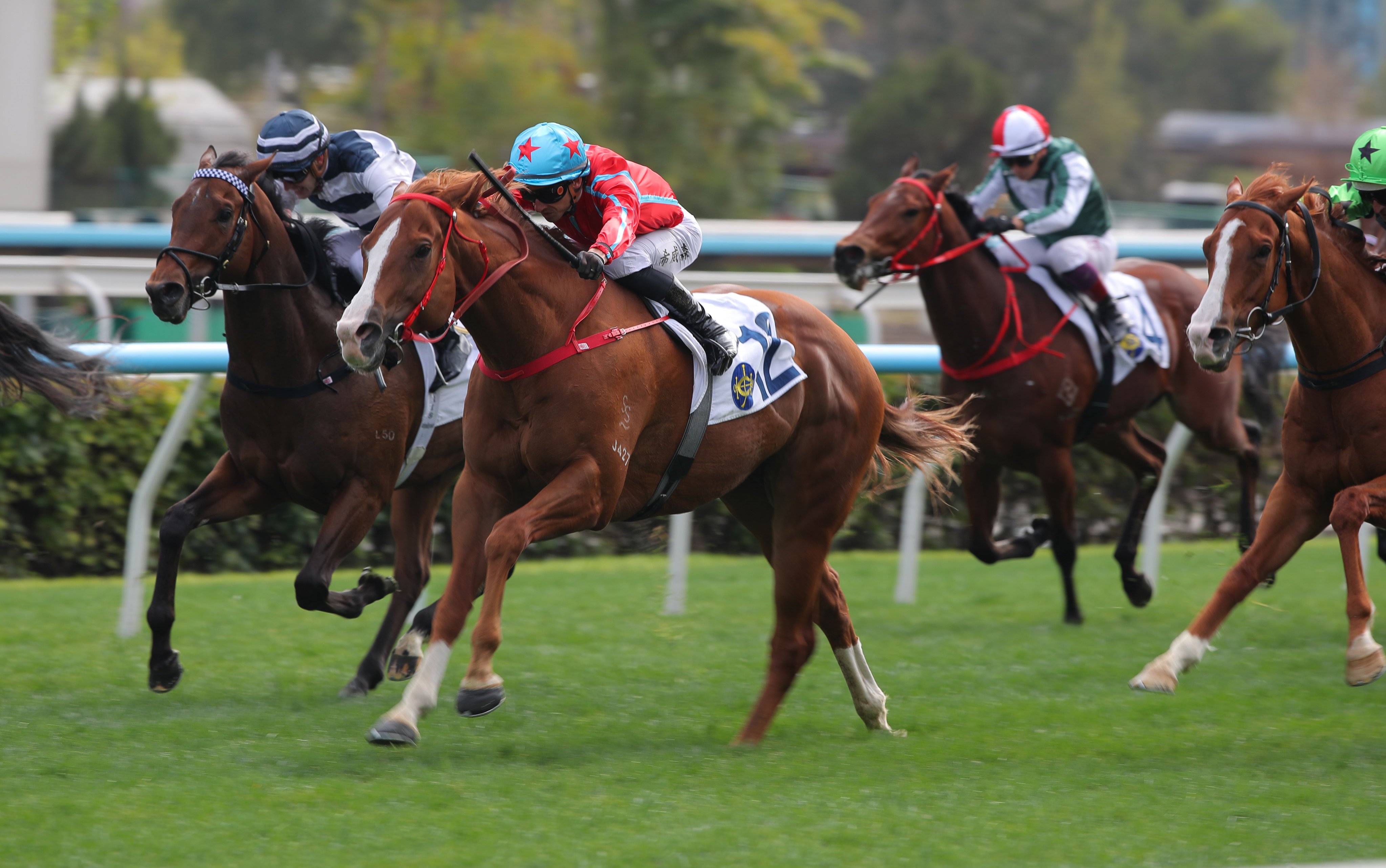 Happy Shooter, ridden by Lyle Hewitson, wins at Sha Tin. Photos: Kenneth Chan.