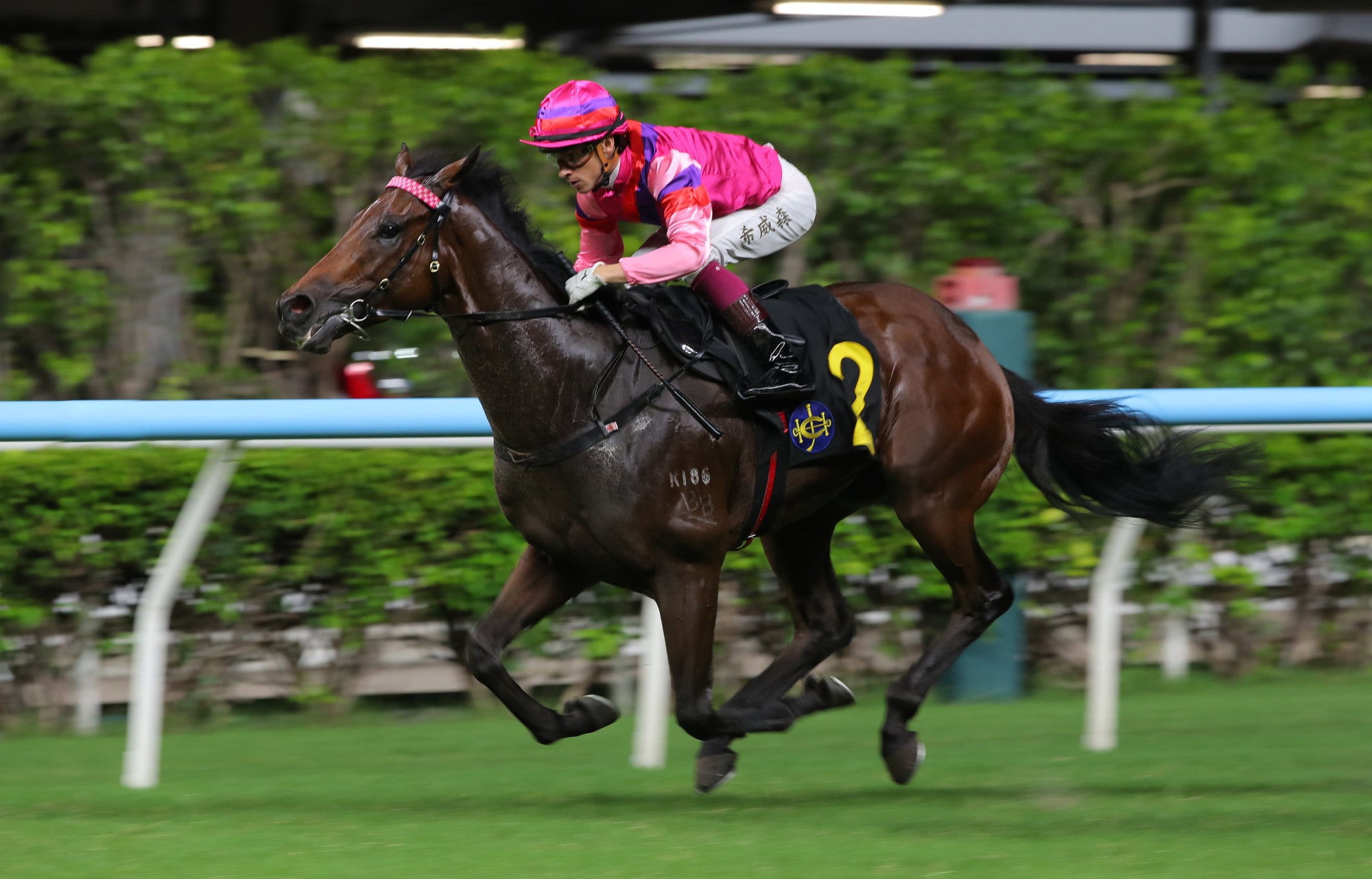 King Lotus, ridden by Lyle Hewitson, scores at Sha Tin. King Lotus, ridden by Lyle Hewitson, scores at Sha Tin.