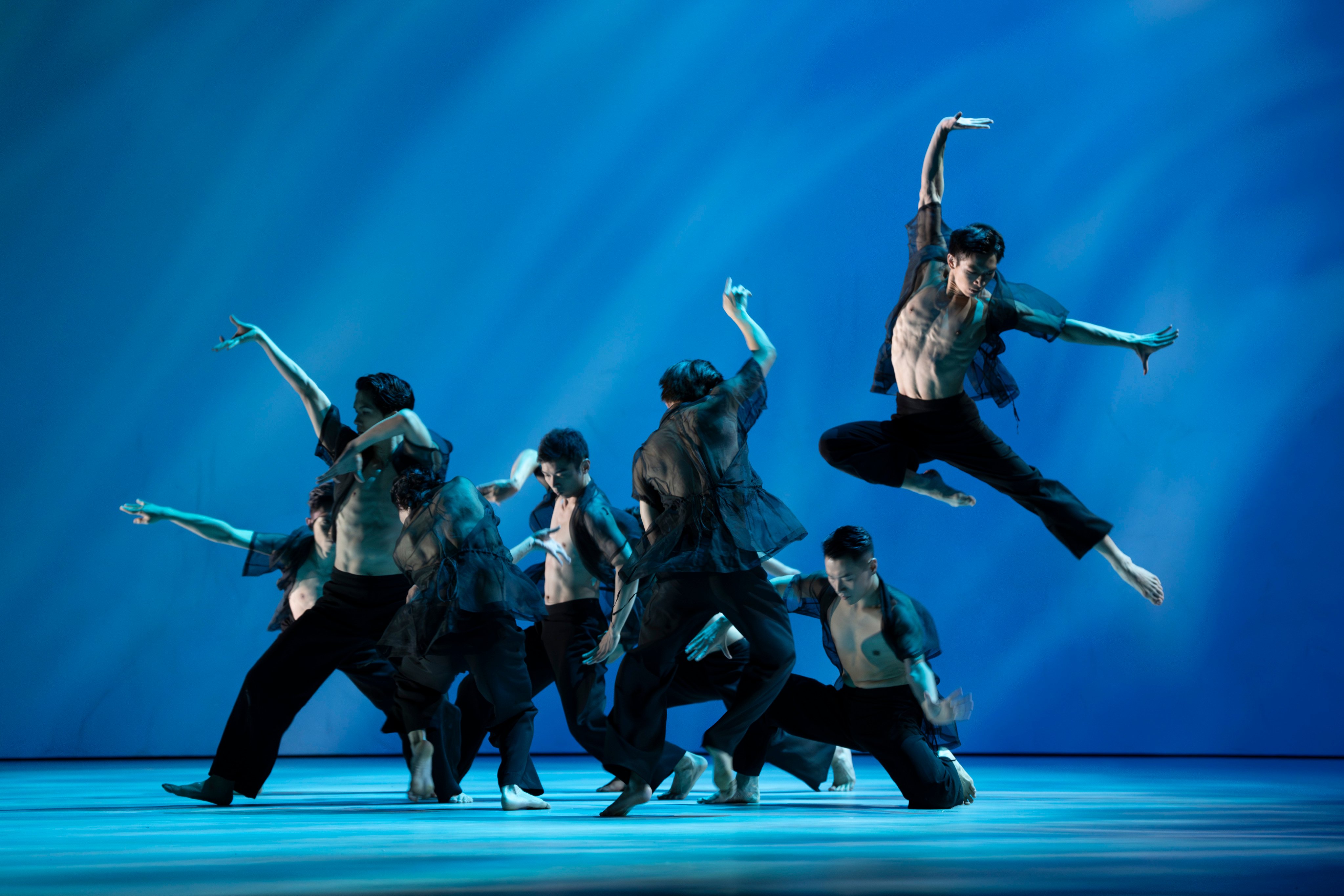The “Spirit of Trees” scene from “In Between - Wu Guanzhong’s Ink Odyssey”, a Hong Kong Dance Company performance that premiered at the Hong Kong Cultural Centre on May 22, 2026 (Photo: Henry@S2 Production; Mak Cheong Wai; Kenix Chan)