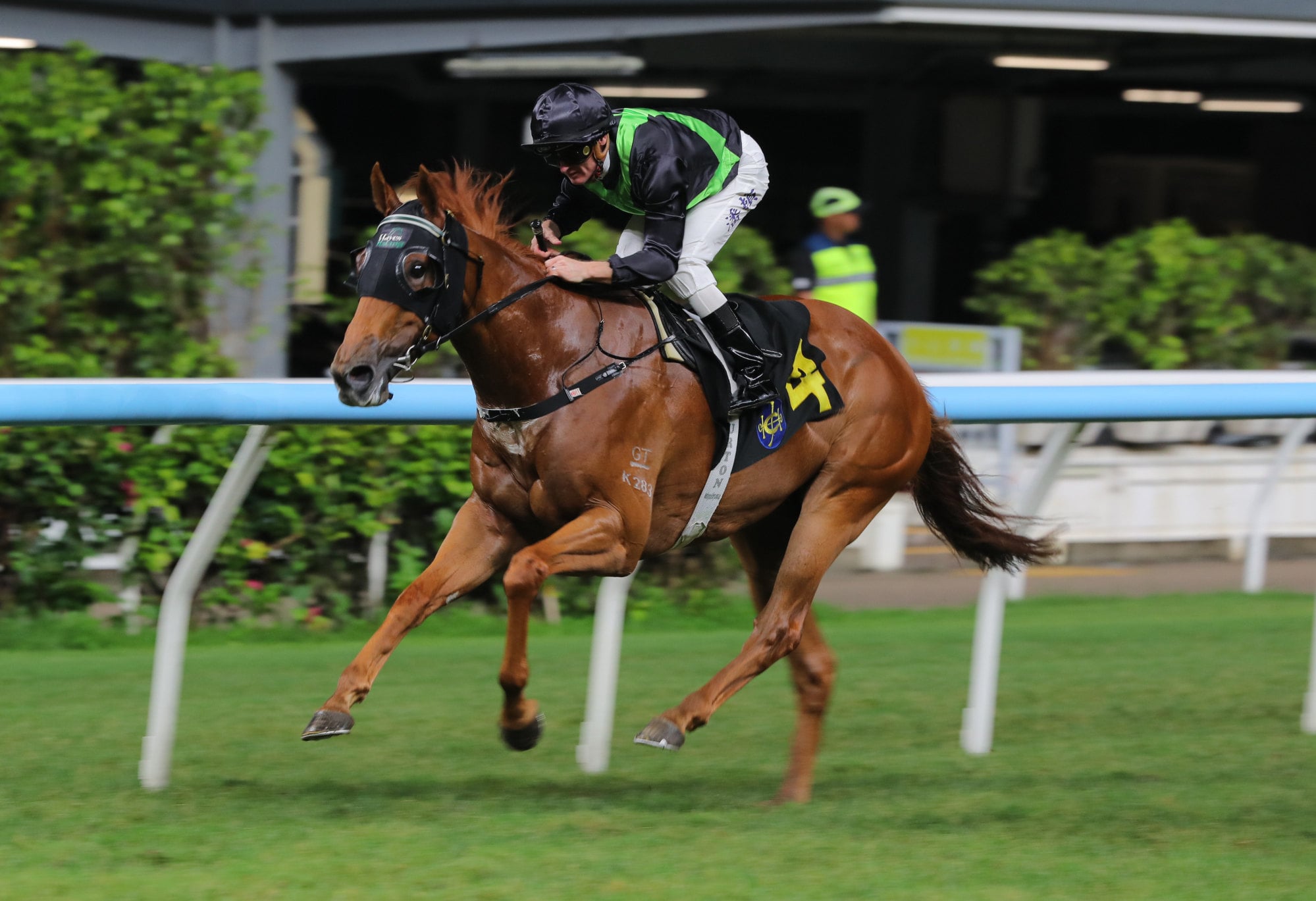 Honest Witness, ridden by Zac Purton, wins at Happy Valley. Honest Witness, ridden by Zac Purton, wins at Happy Valley.