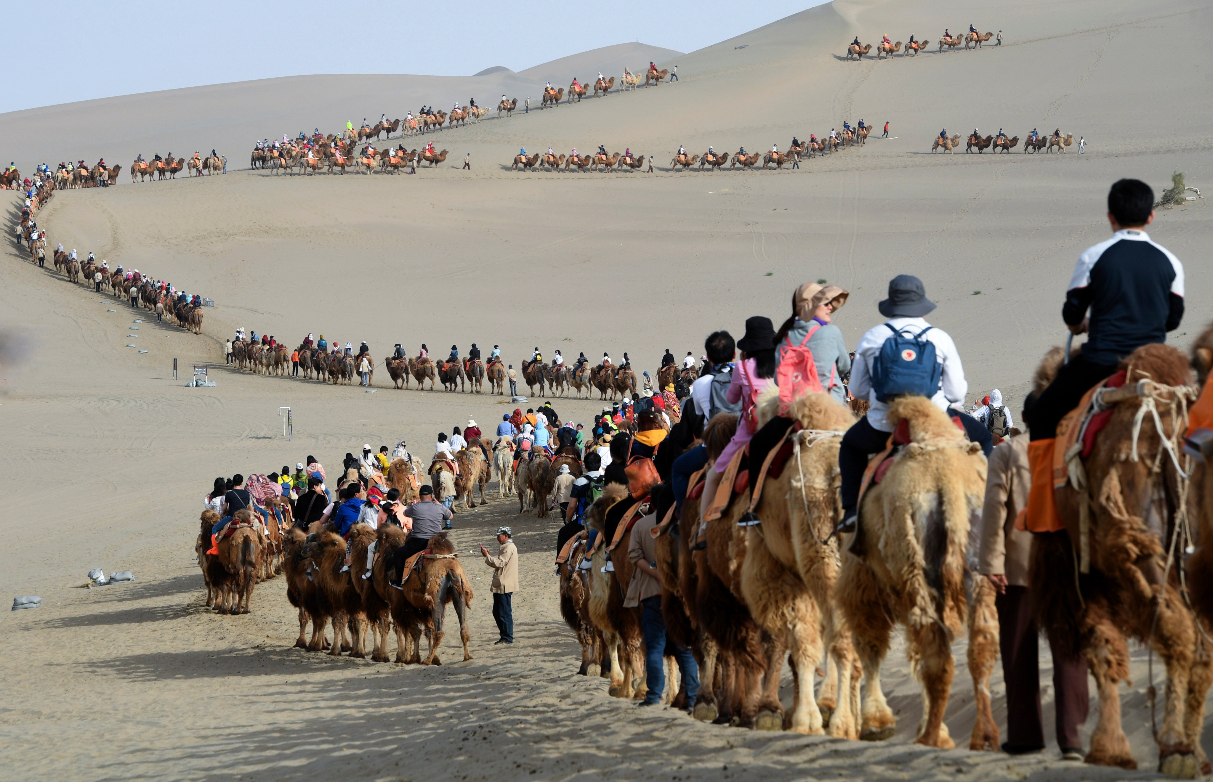 Tourists ride camels in the Crescent Spring and Mingsha Sand Dune scenic area in Dunhuang, northwest China’s Gansu Province. Police found a tourist’s lost phone in the area by digging through the sand with their bare hands. Photo: Xinhua