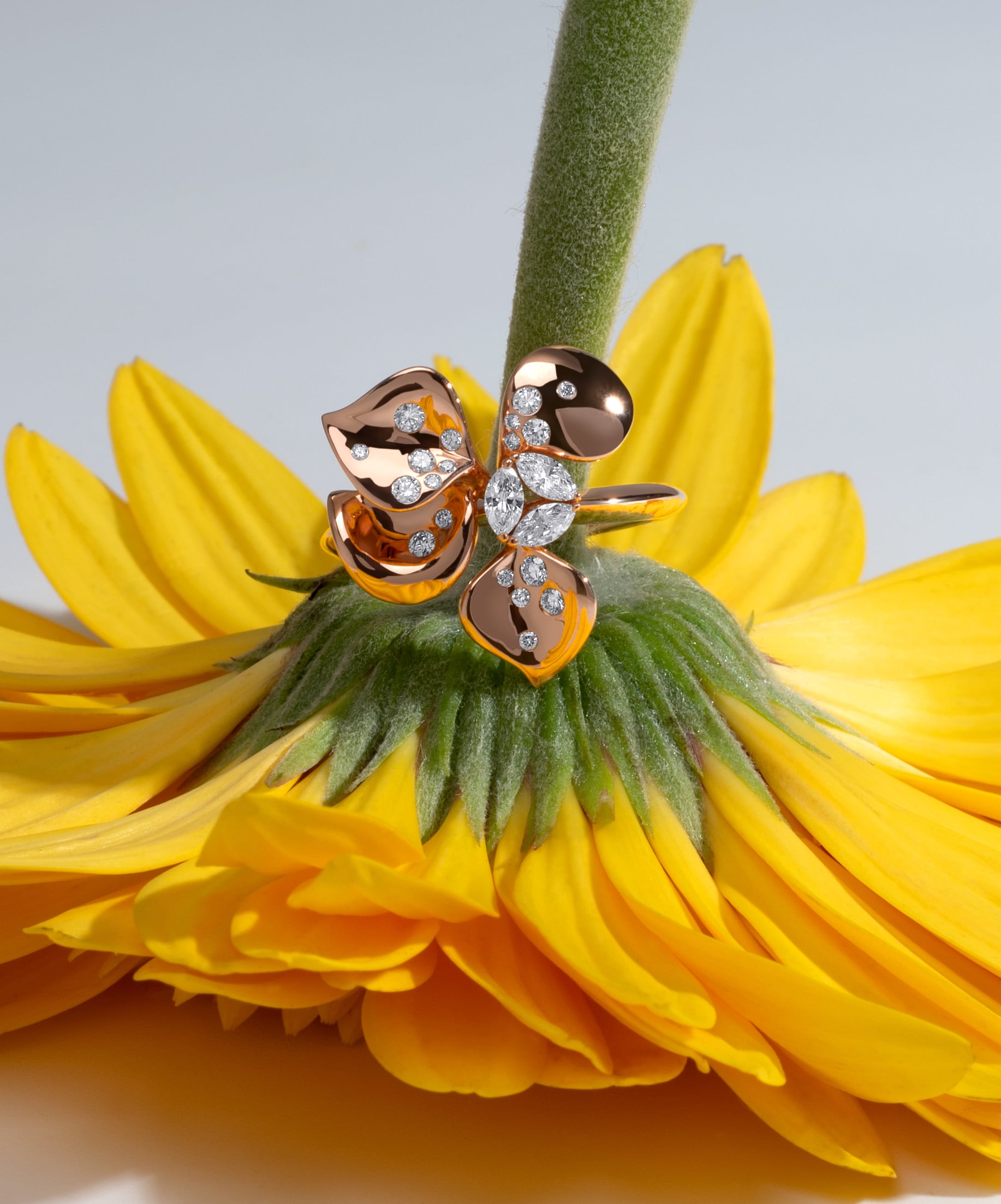Stenzhorn’s À Fleur De Paris collection. Photo: Handout
