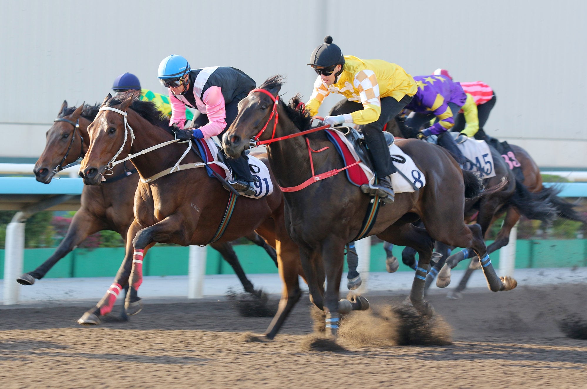 Crossborderpegasus (right) trials at Sha Tin.