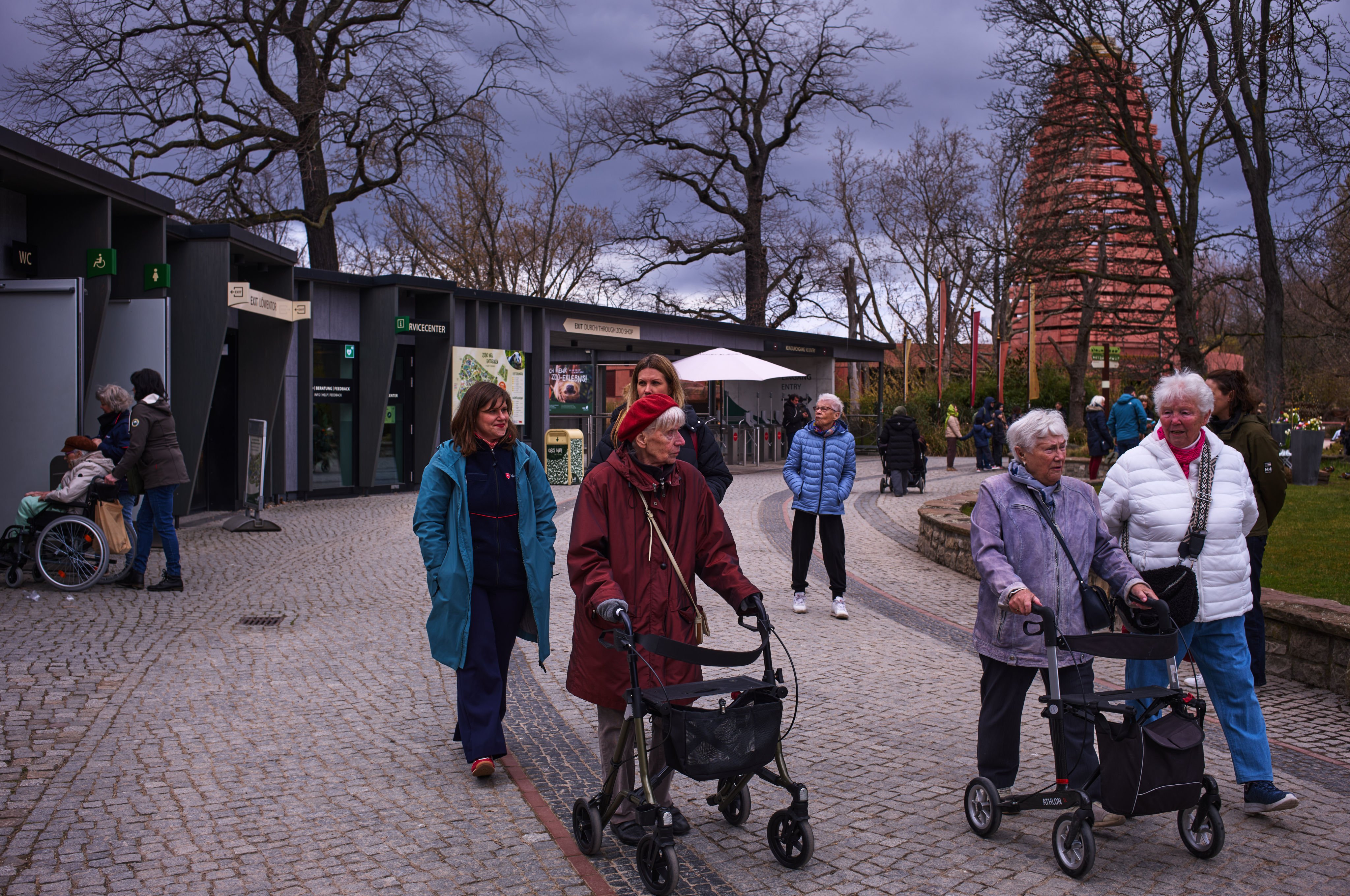 Berlin Zoo offers special tours for dementia patients, providing engaging, accessible cultural experiences and vital support for carers. Photo: AP