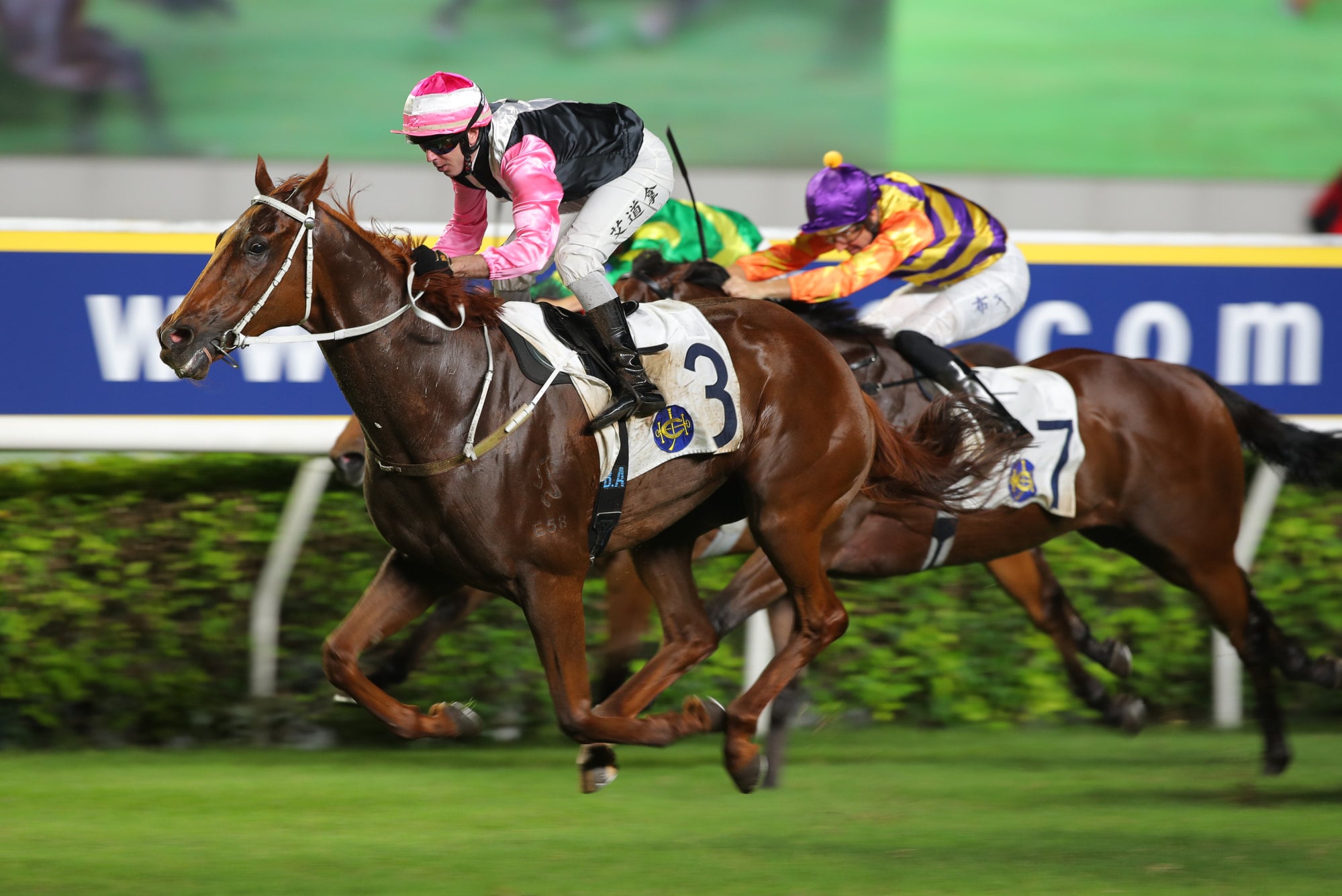 Beauty Joy wins last season’s Group Three Premier Plate. Beauty Joy wins last season’s Group Three Premier Plate.