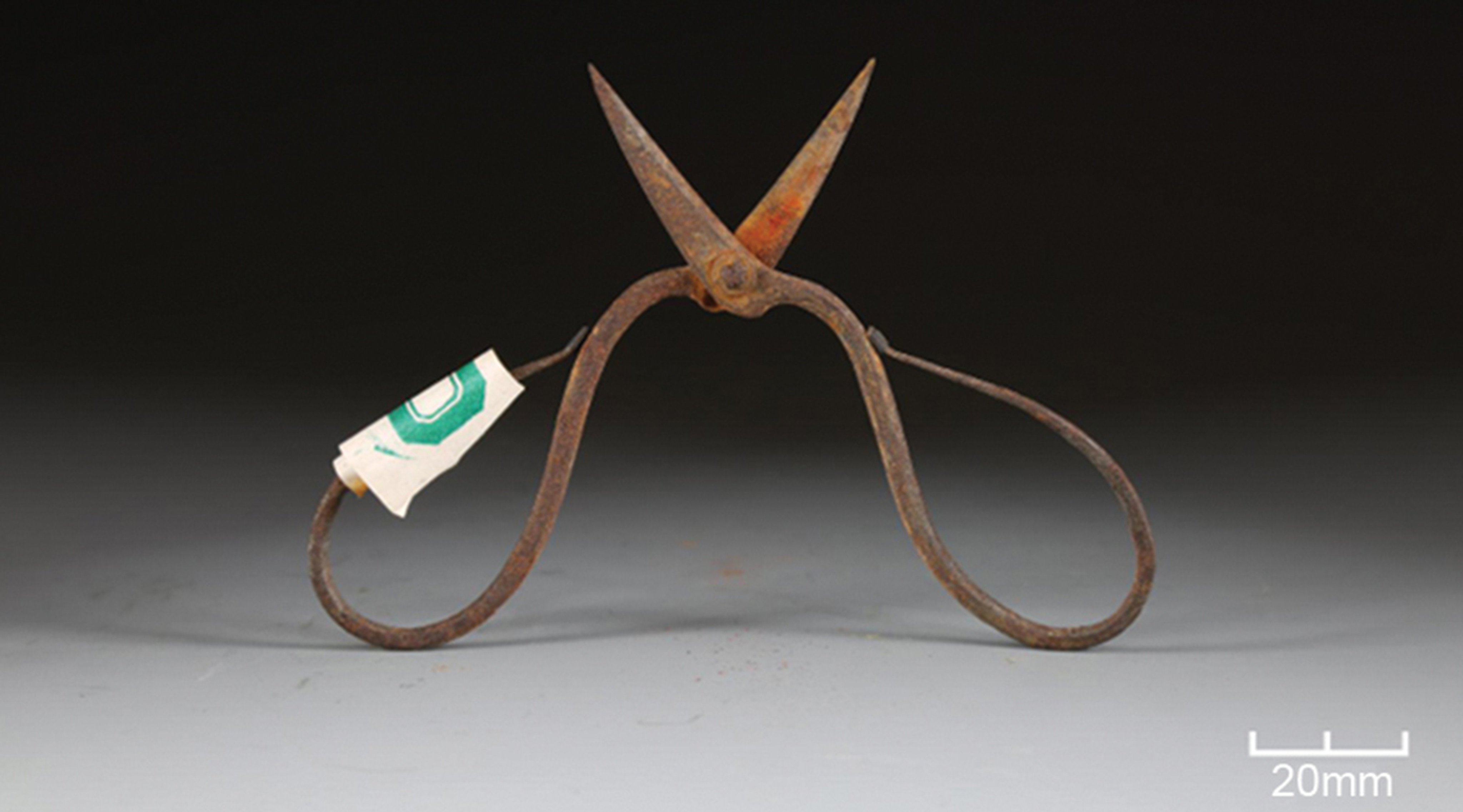 Trace amounts of aconitine, a toxic plant-derived compound used as a topical anaesthetic, have been detected on ancient Chinese surgical tweezers. Photo: Handout