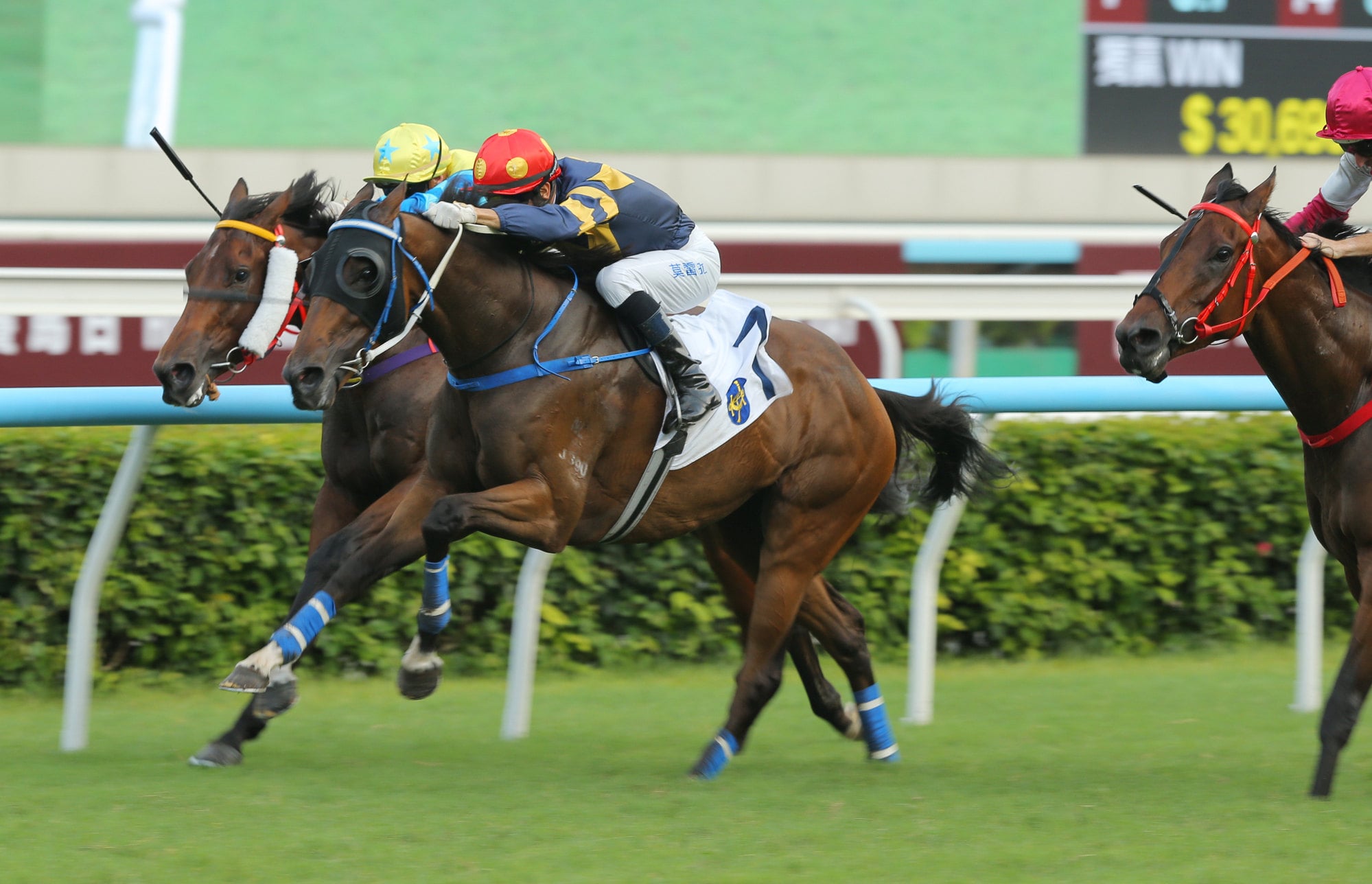 Family Jewel stays on strongly to score under Joao Moreira. Family Jewel stays on strongly to score under Joao Moreira.