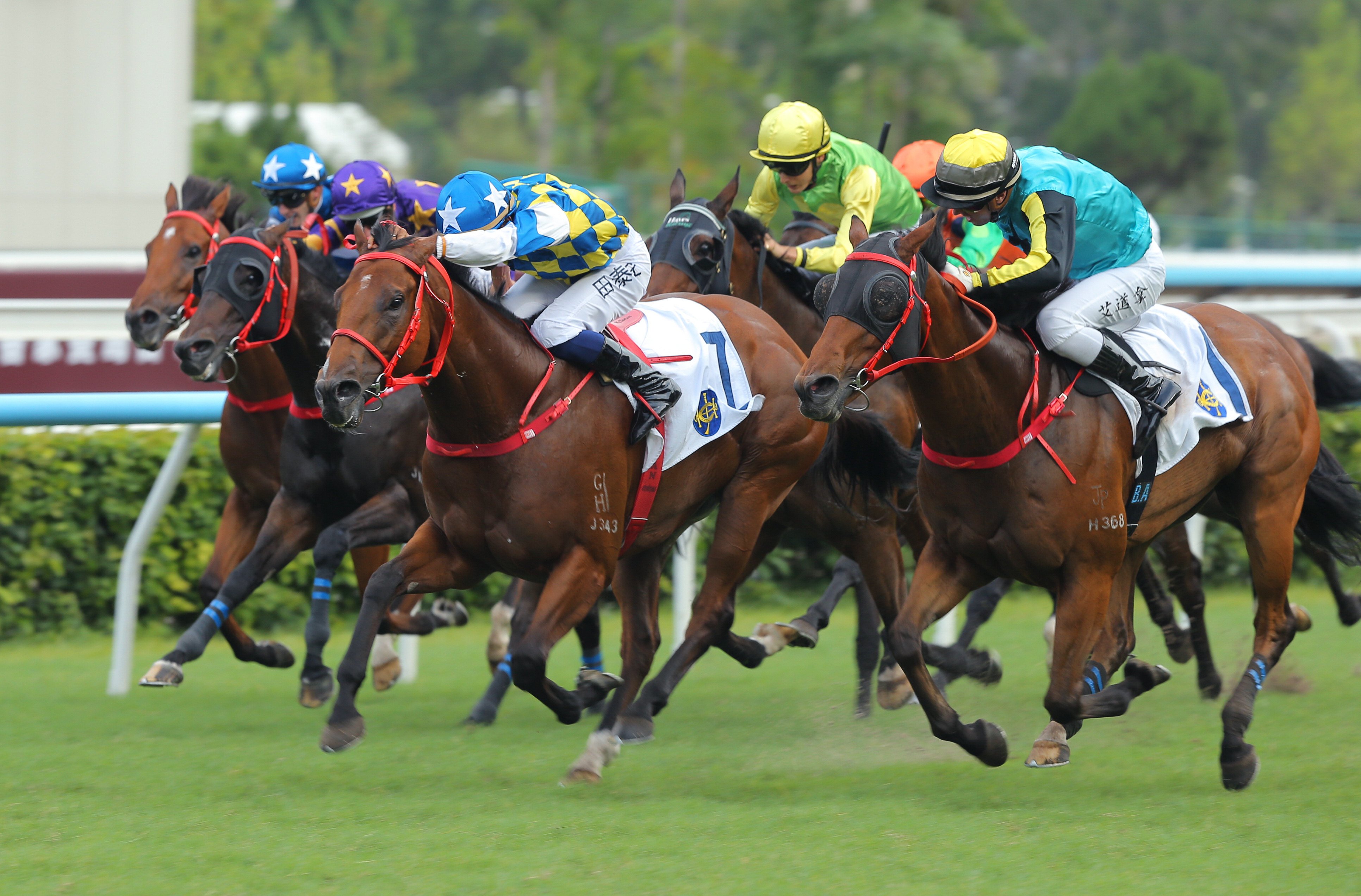 Patch Of Stars (blue cap, white stars) wins at Sha Tin. Photos: Kenneth Chan