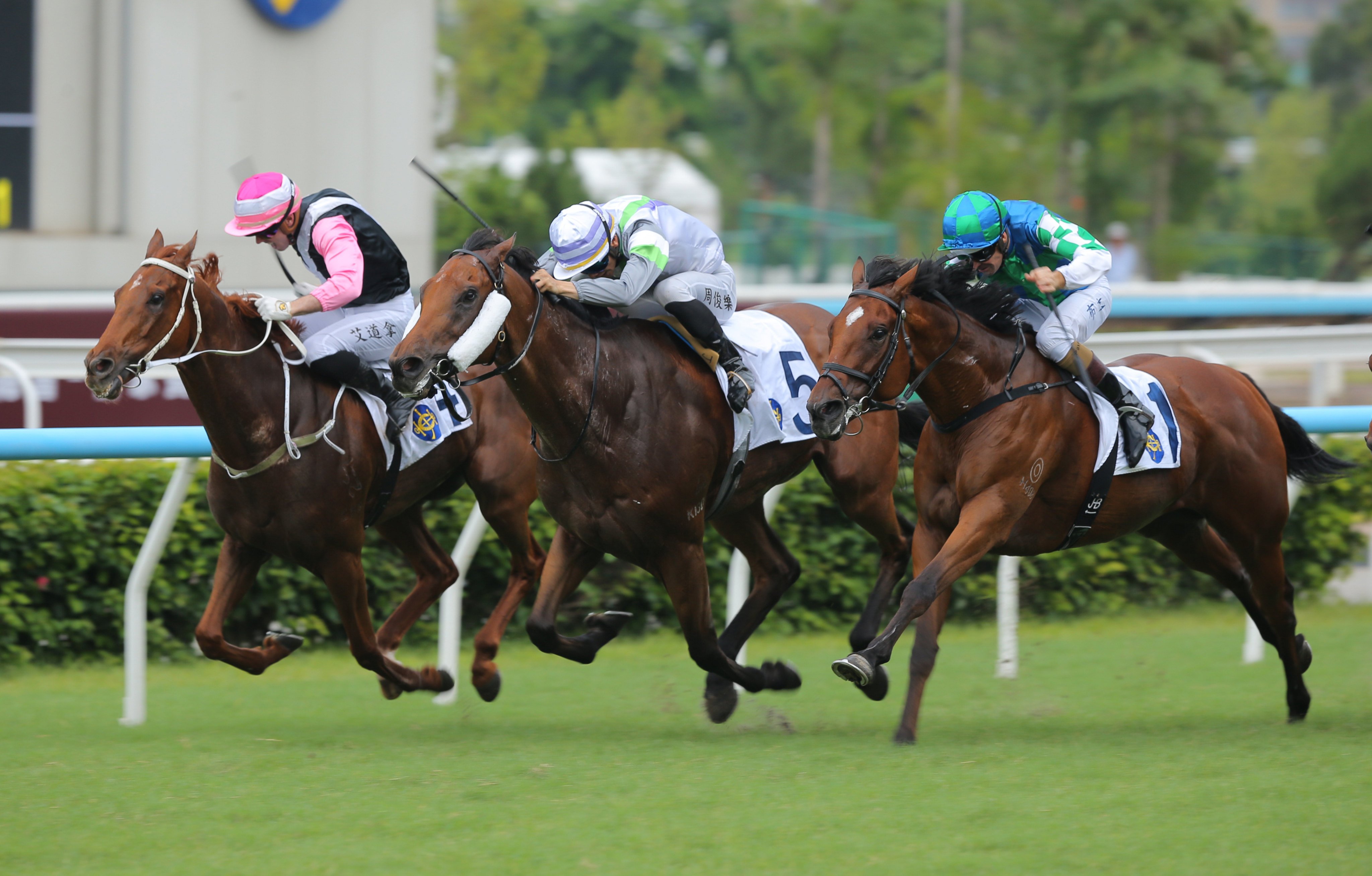 Light Years Charm (centre), ridden by Jerry Chau, wins the Lion rock Trophy at Sha Tin. Photos: Kenneth Chan