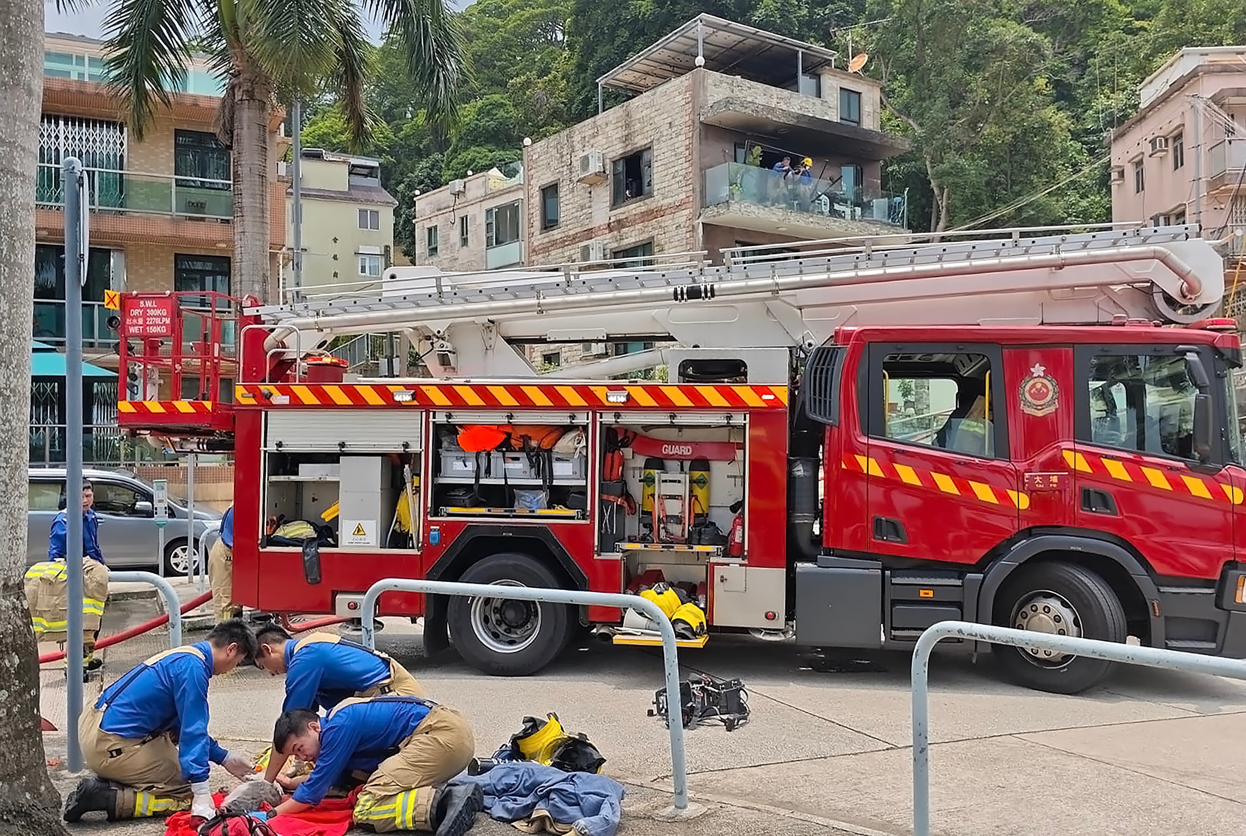 Firefighters try to revive the cats. Photo: Handout