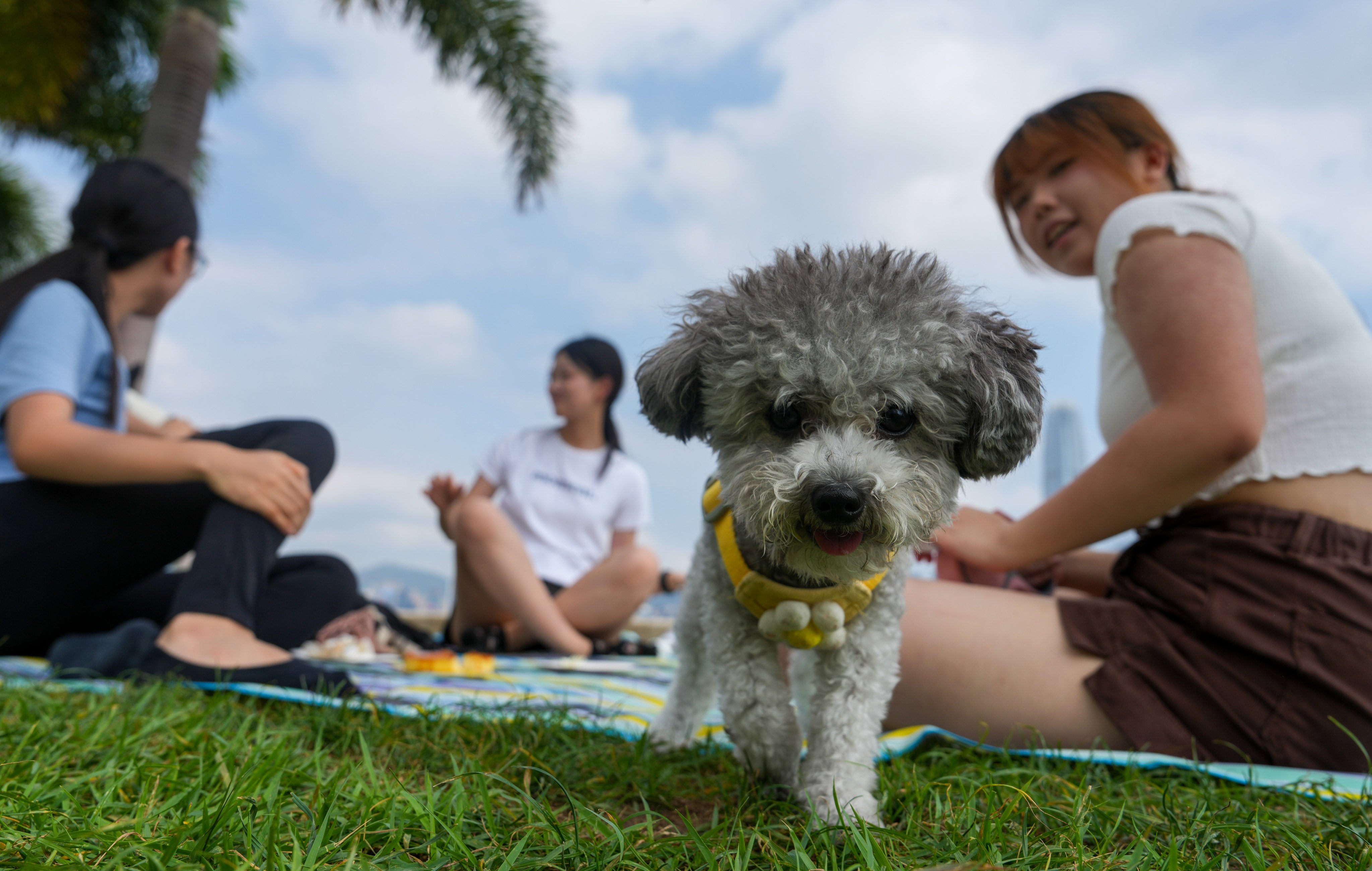 Picnic time at the West Kowloon Cultural District. Photo: Sam Tsang
