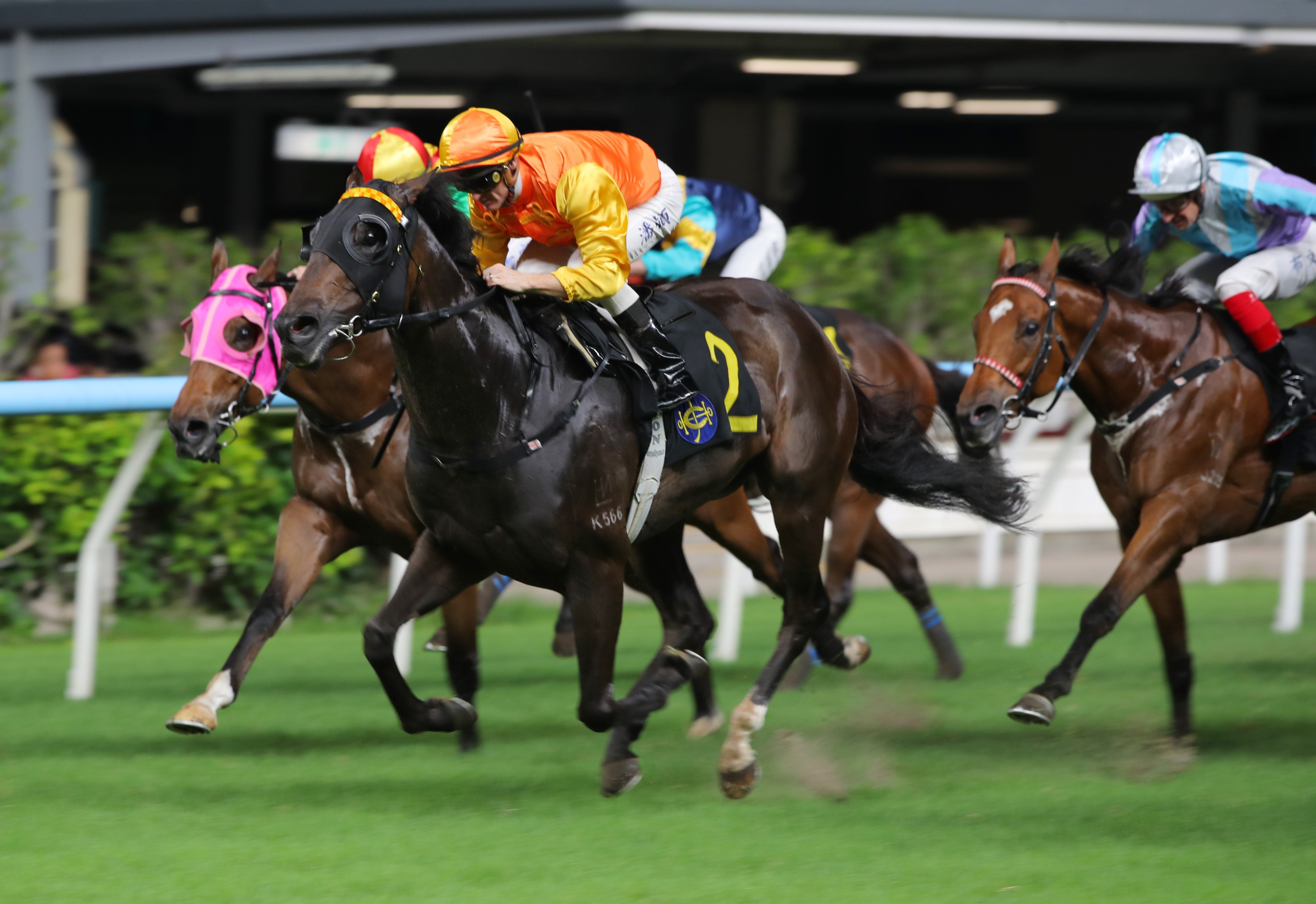 Armor Golden Eagle, ridden by Zac Purton, scores at Happy Valley. Photos: Kenneth Chan