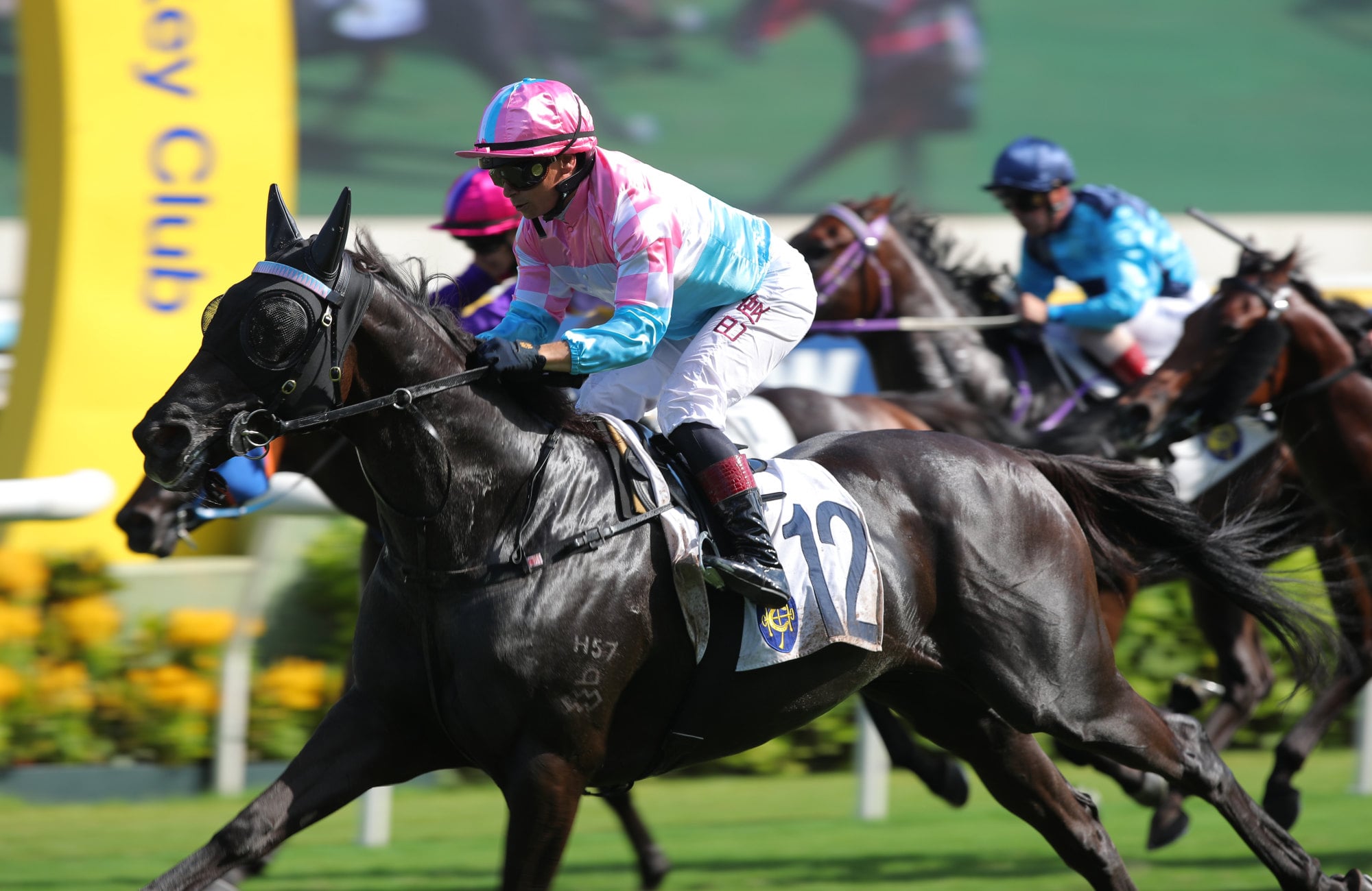 Same To You, ridden by Alexis Badel, wins at Sha Tin. Same To You, ridden by Alexis Badel, wins at Sha Tin.