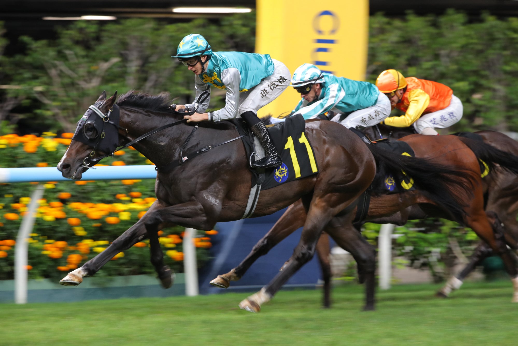 All Round Winner, ridden by Harry Bentley, scores at Happy Valley. All Round Winner, ridden by Harry Bentley, scores at Happy Valley.