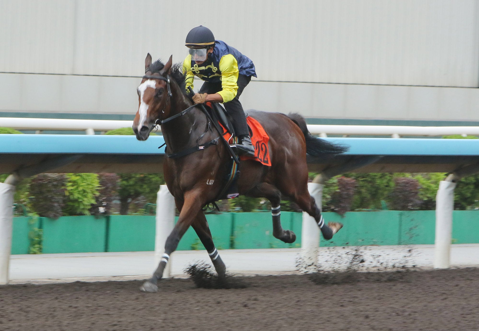 The Unique Star cruises to victory in a dirt trial.